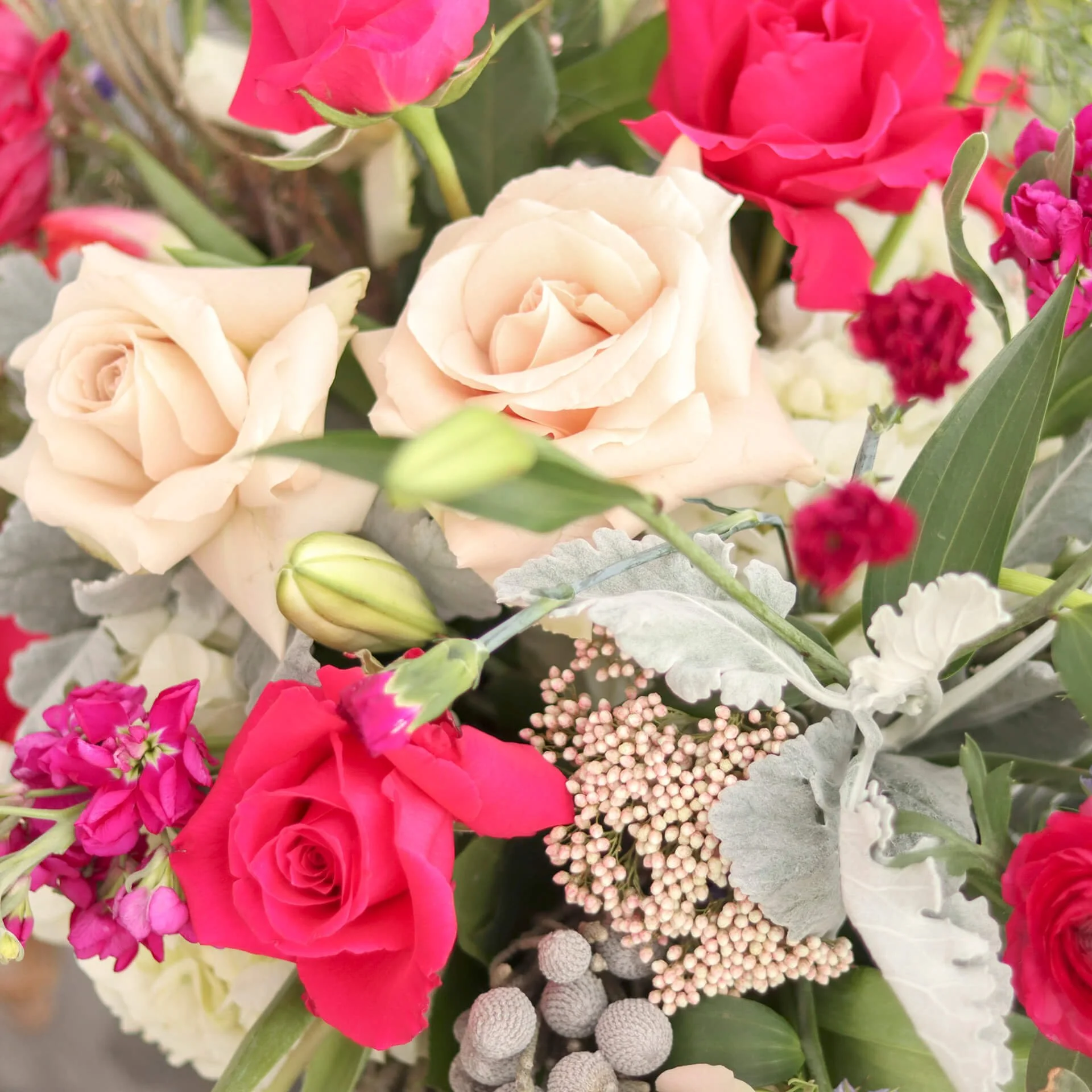 Bloom & Branch Petals, Please