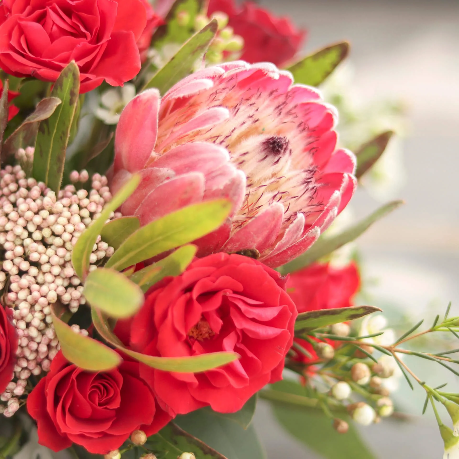 Bloom & Branch Sweet Thing