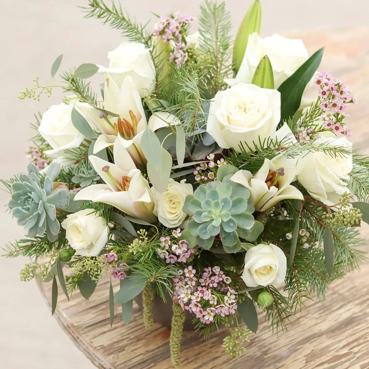 Plant & Blossom Garden