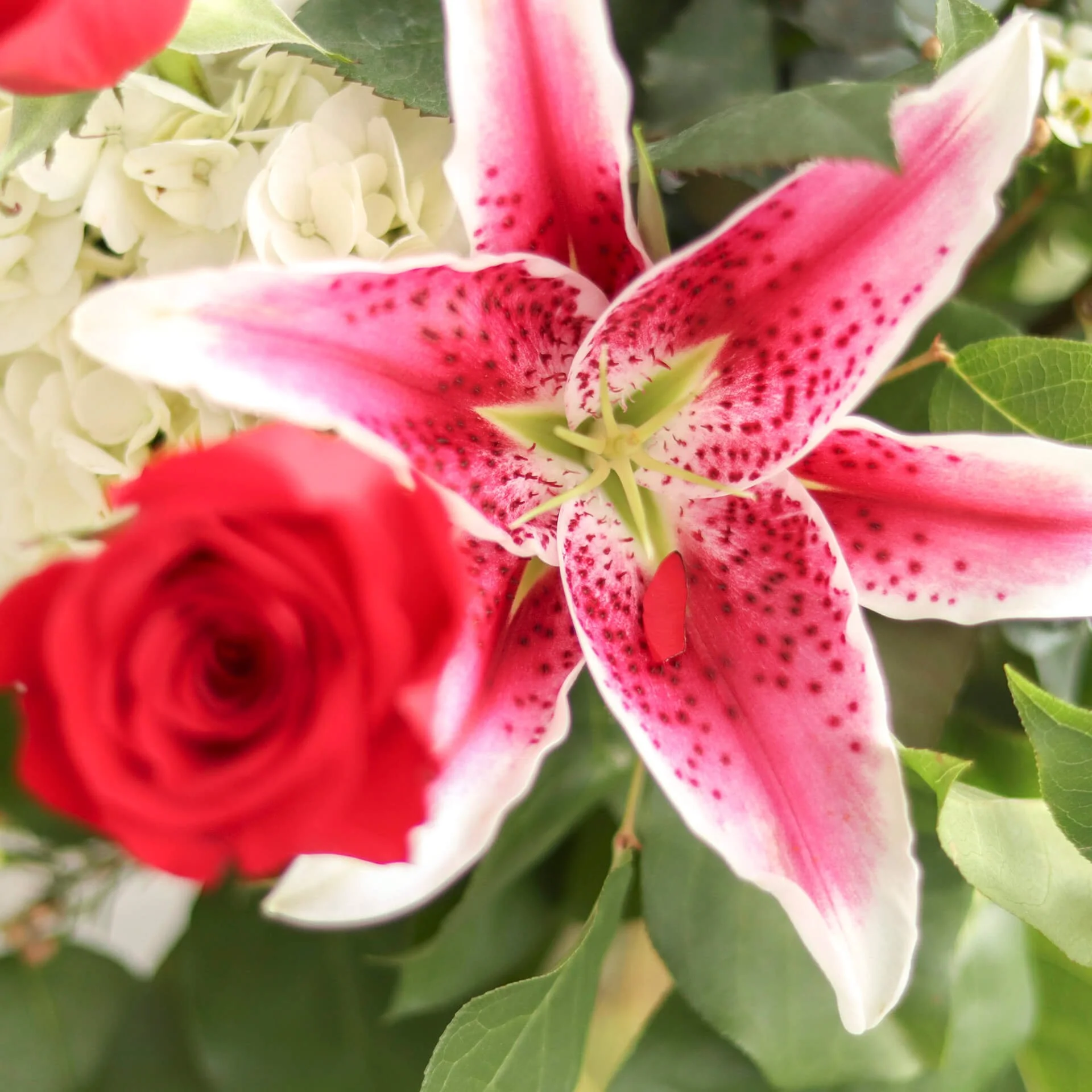 Bloom & Branch Forever In Bloom