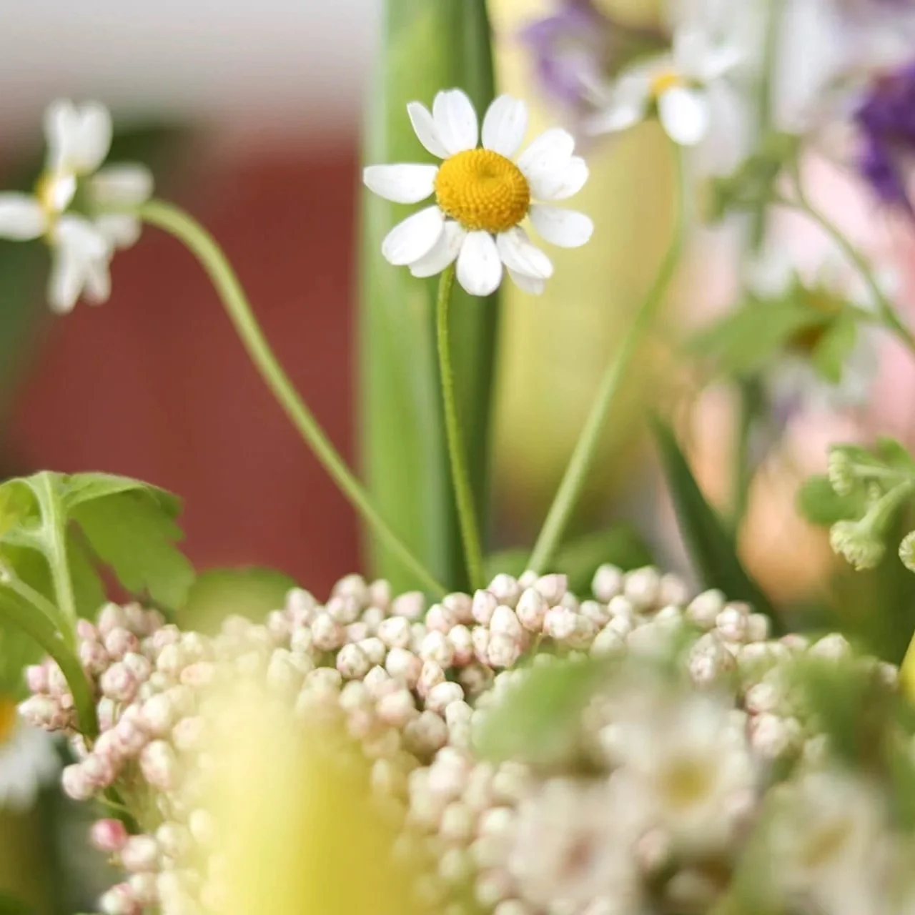 Bloom & Branch Fresh Picked