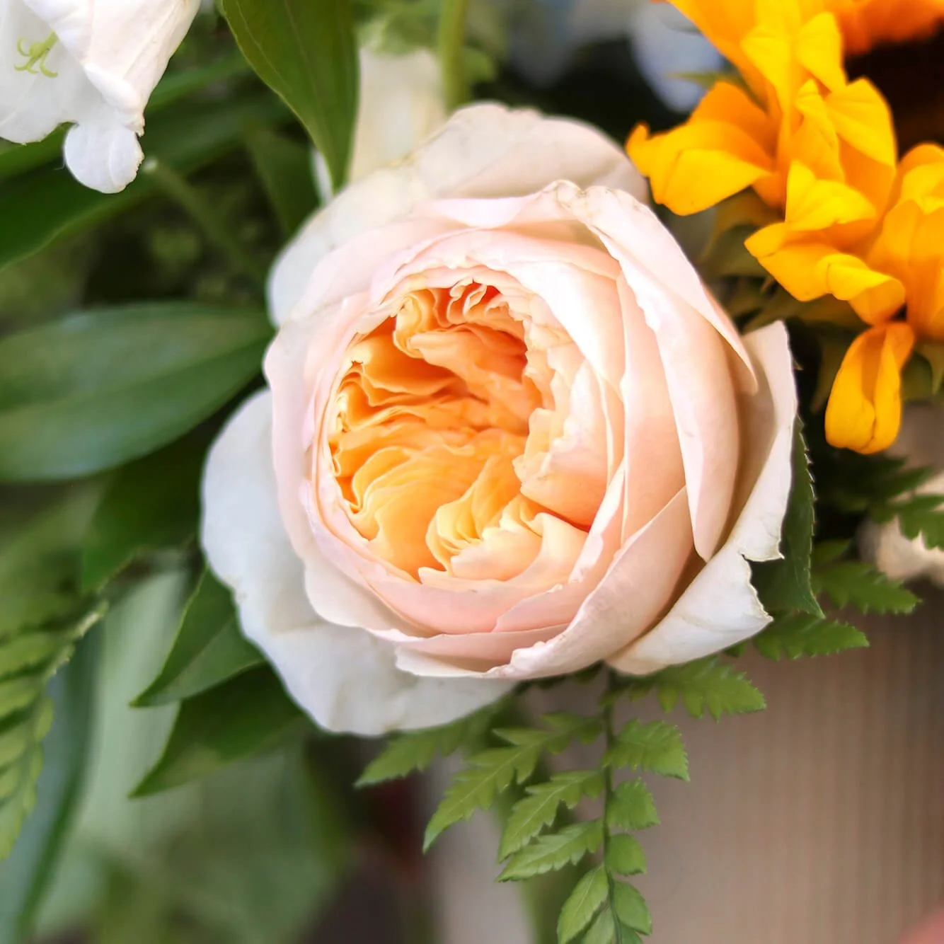Bloom & Branch Pocketful of Sunshine