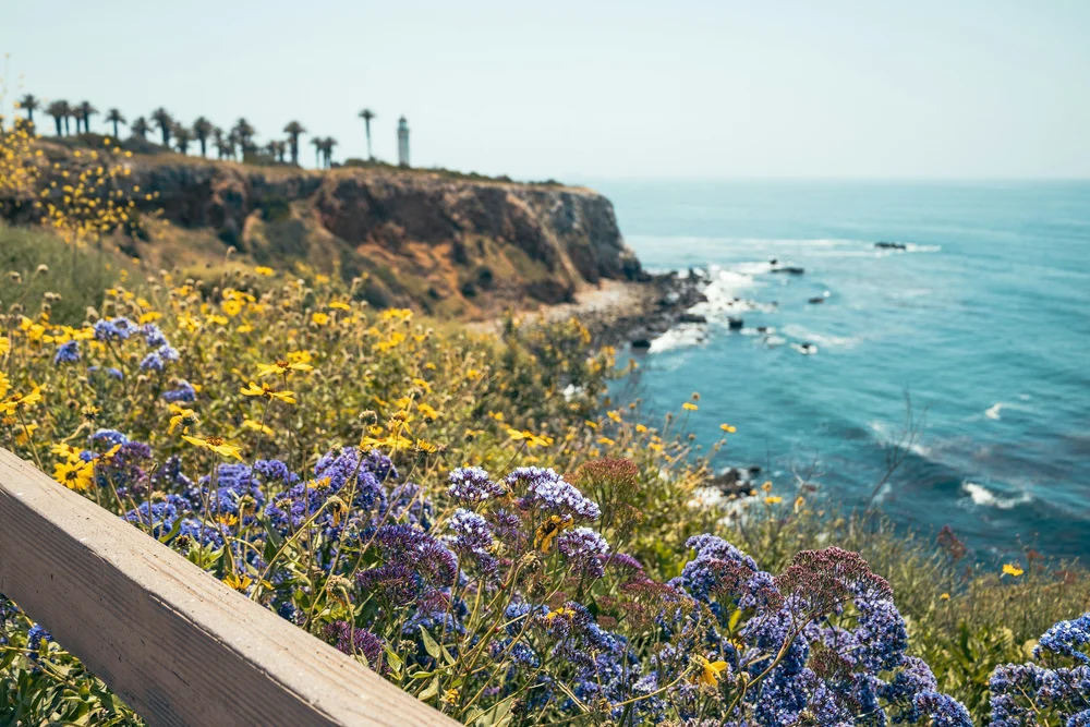 Palos Verdes sea cliffs