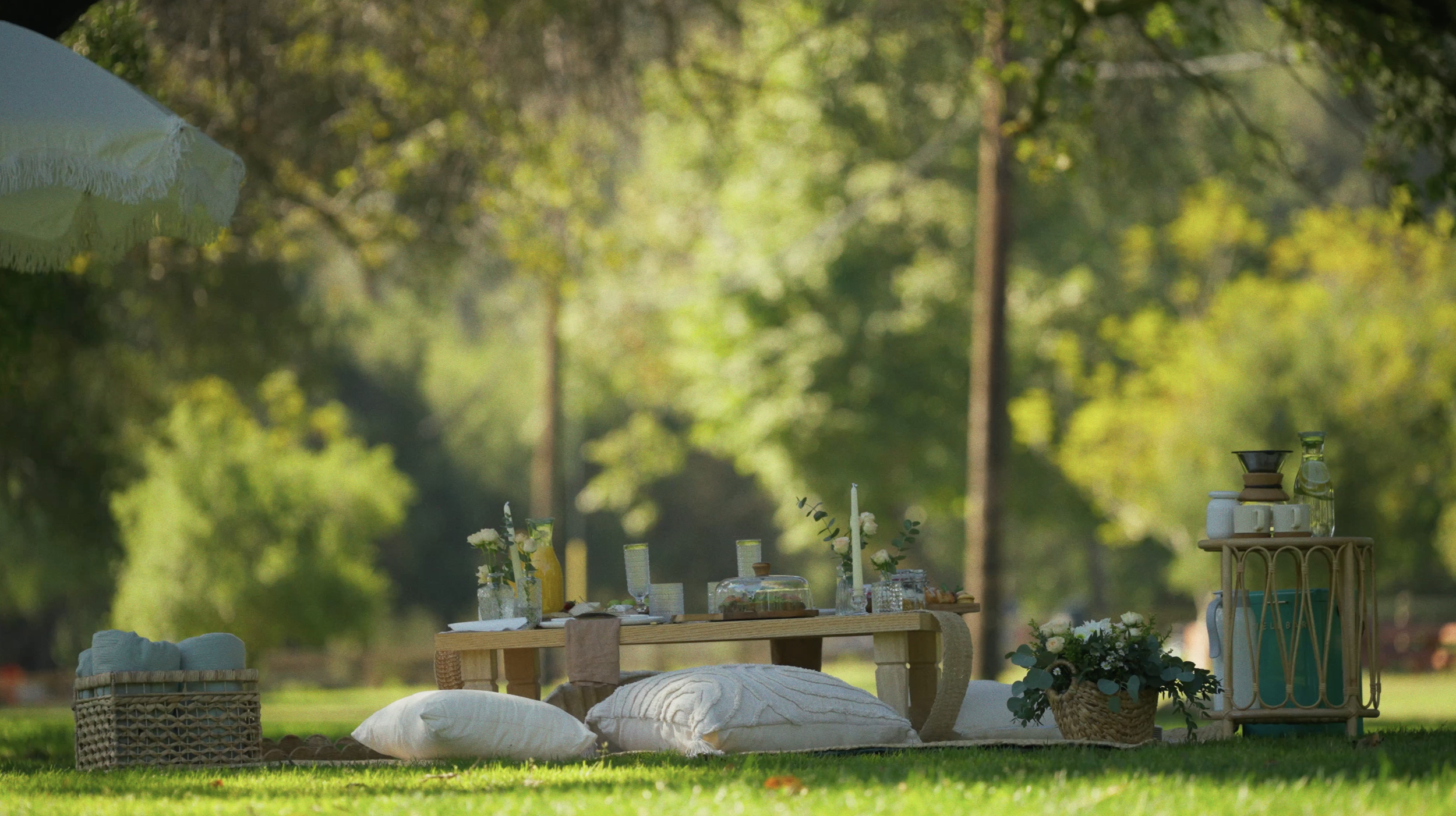 Outdoor picnic set up with pillows, flowers, drinks, and tableware on the grass in a wooded area with sunlight filtering through trees.
