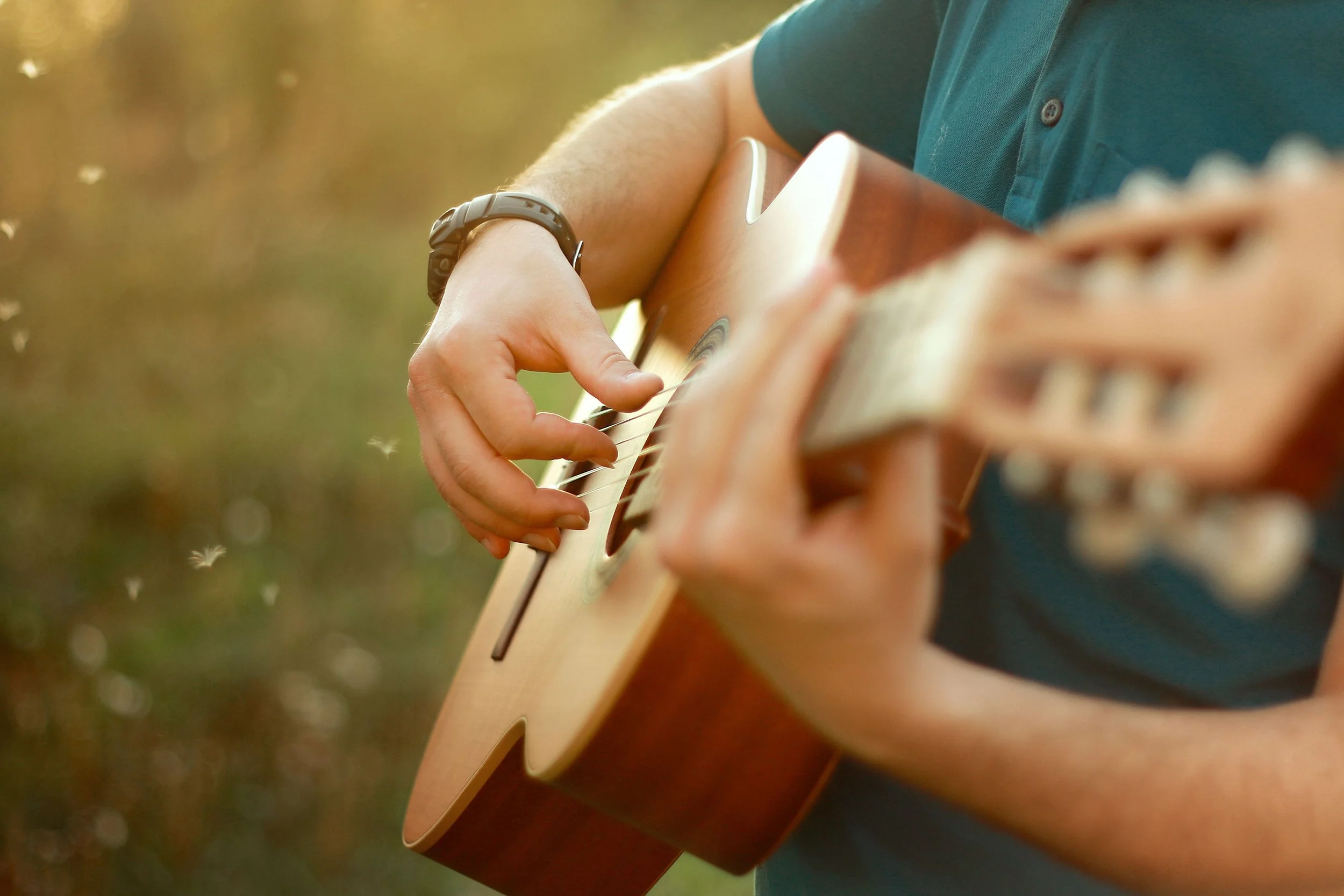 Professional Musician