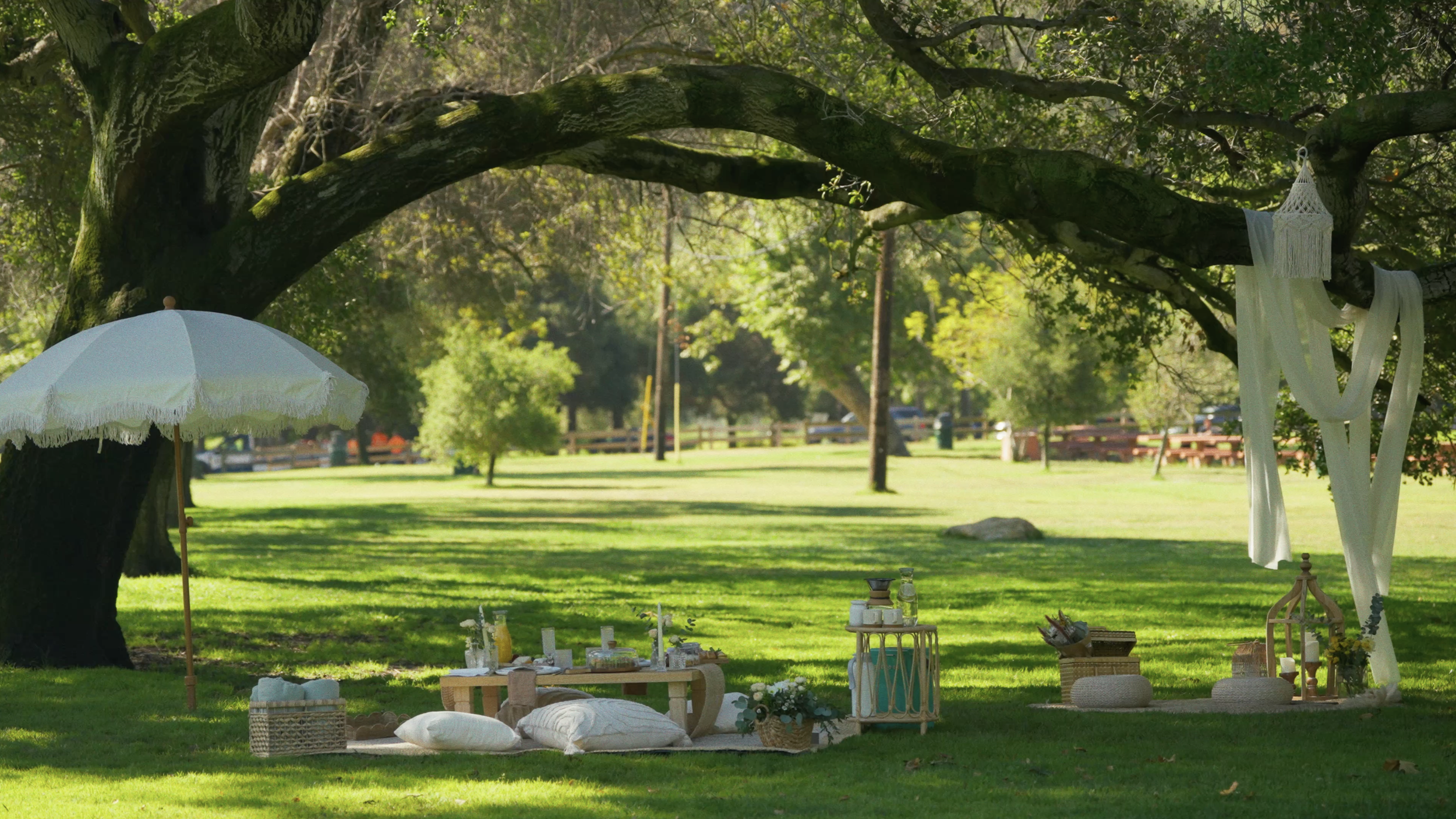 Boho picnic date setup under a large tree in the Griffith park — Mandra Soul