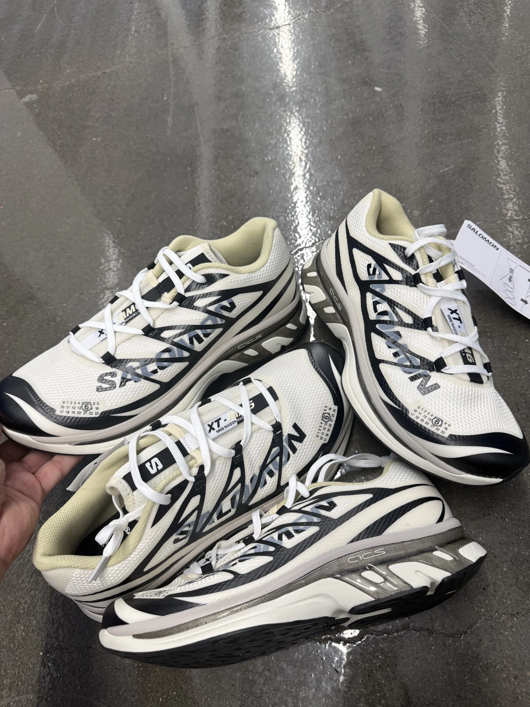 mm6 salomons