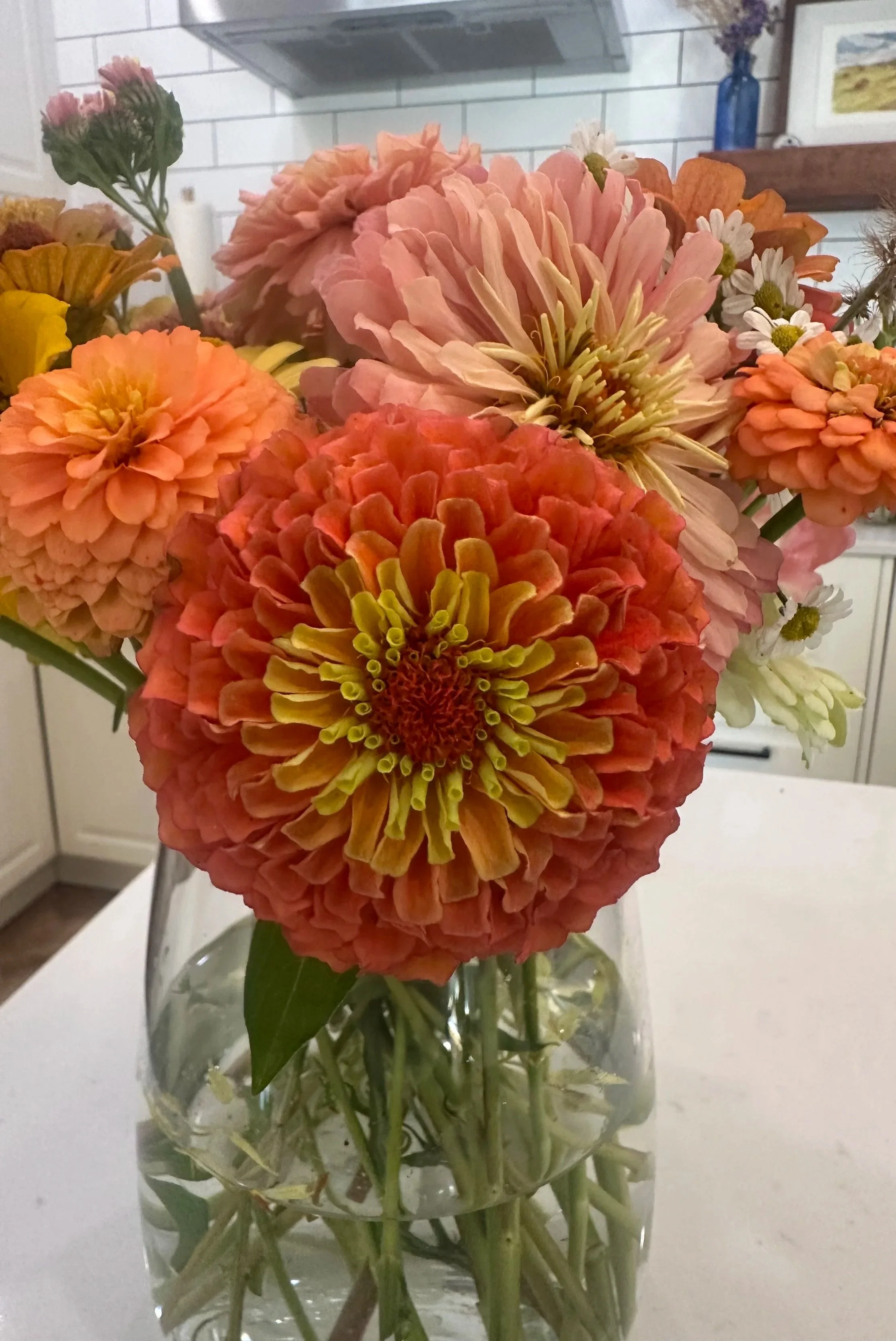 A glass vase filled with a bouquet of colorful flowers including large orange and pink dahlias, small white daisies, and other pink and orange flowers, set on a white surface in a kitchen with white cabinets and a brick backsplash.