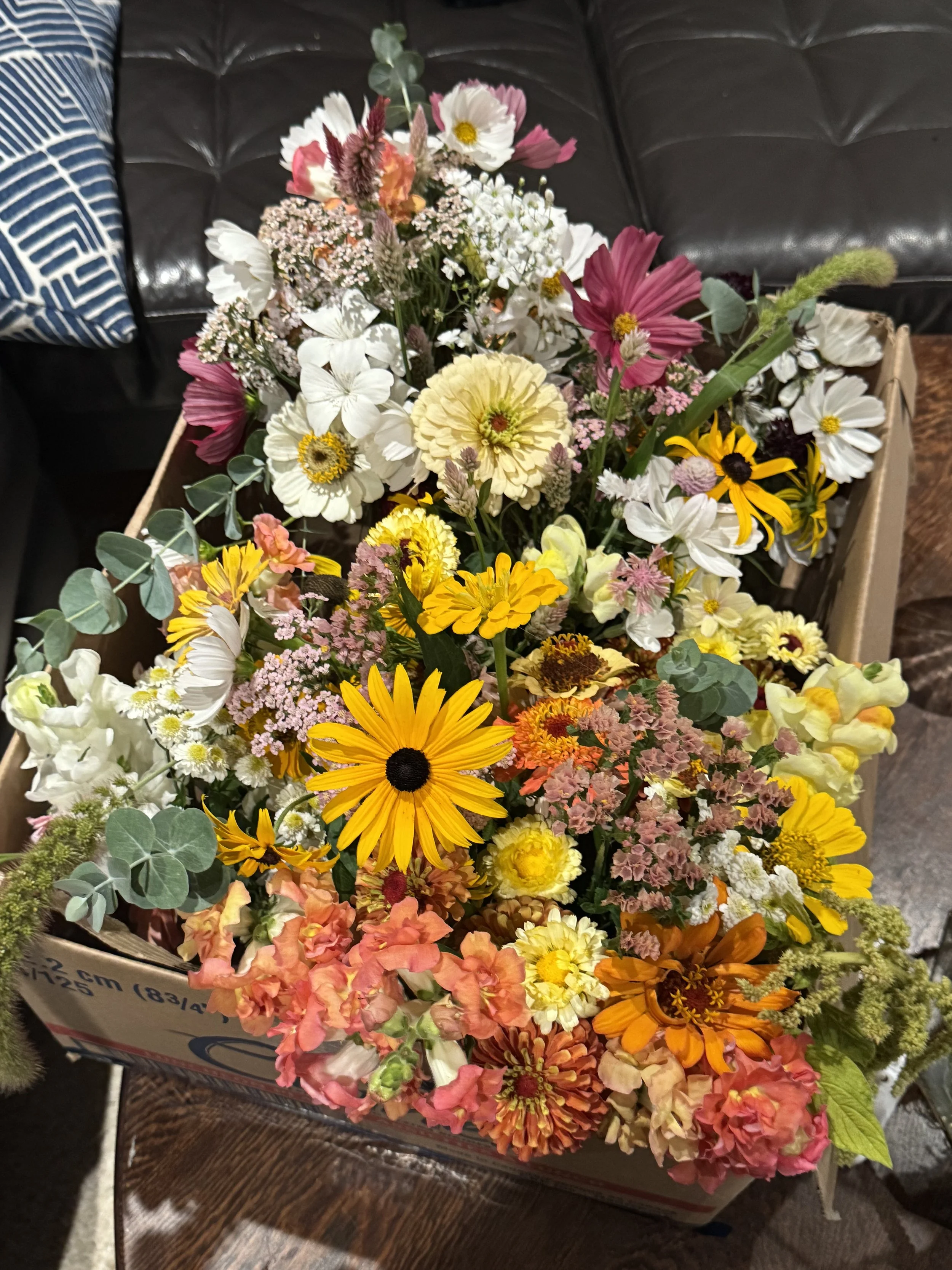 A colorful bouquet of mixed flowers including daisies, zinnias, and cosmos in a cardboard box on a wooden surface.