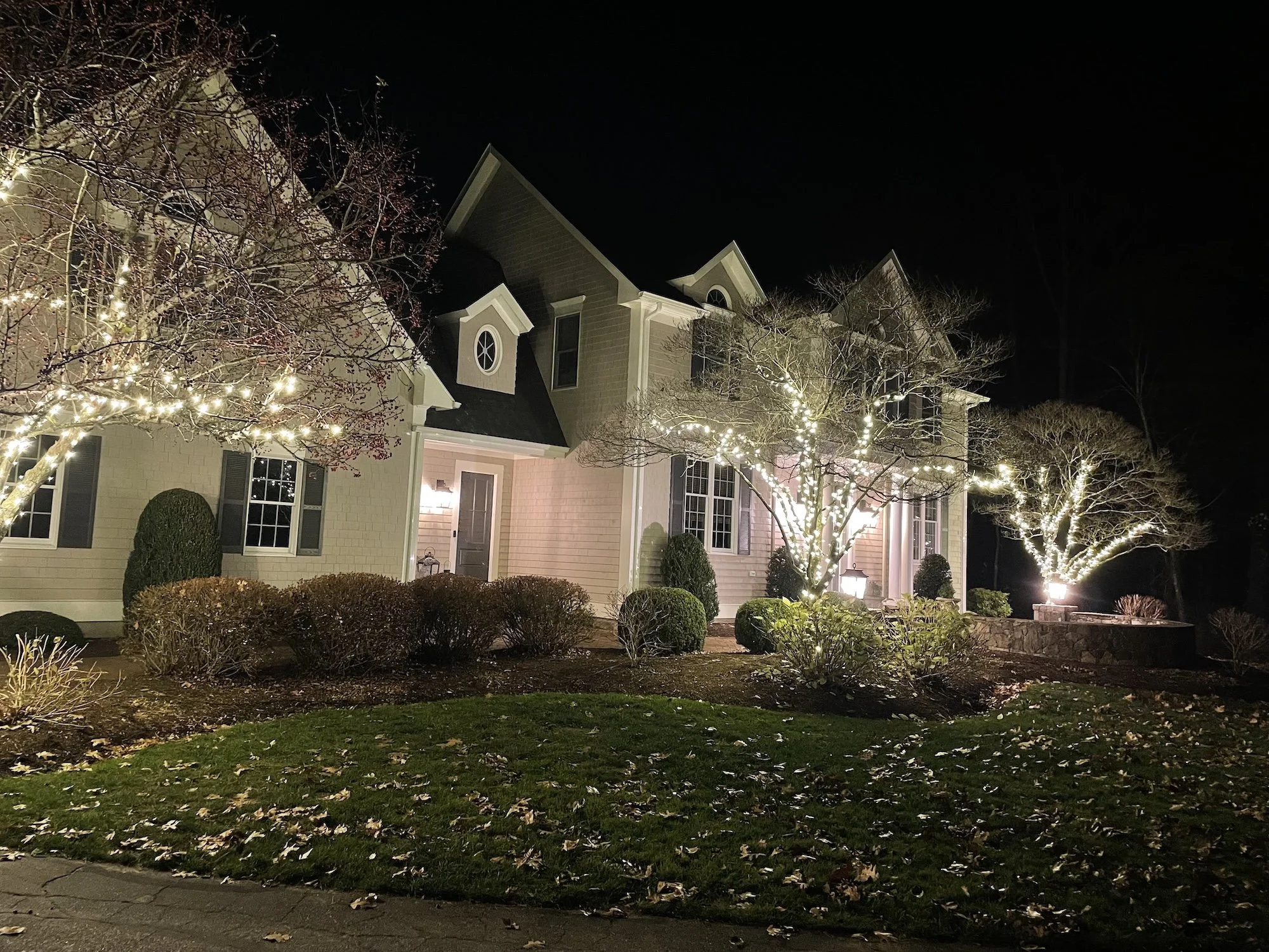 A house exterior at night decorated with white string lights on bare trees, with a lawn and bushes in the foreground.