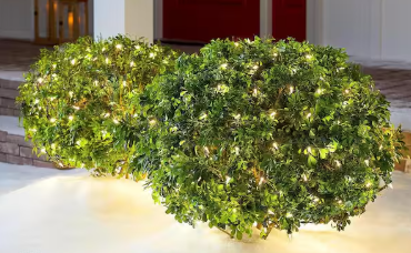 Two illuminated green bushes placed indoors near a staircase.
