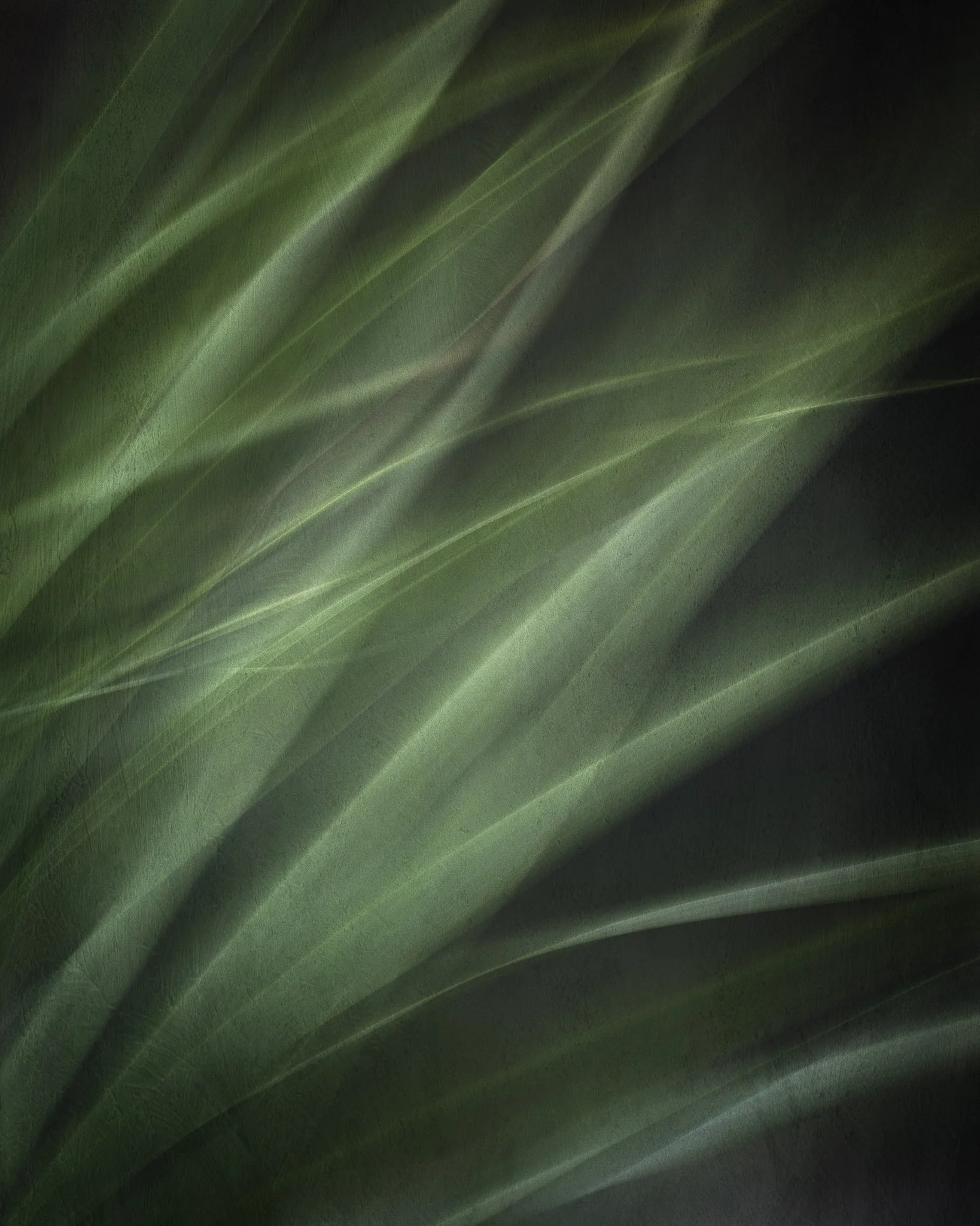 Multiplicity | Washington | 2025