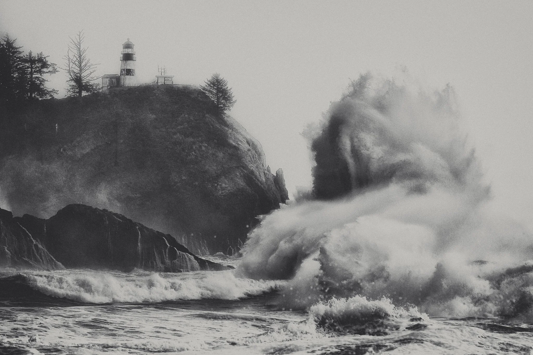 Standing in Awe | Cape Disappointment, Washington | 2024