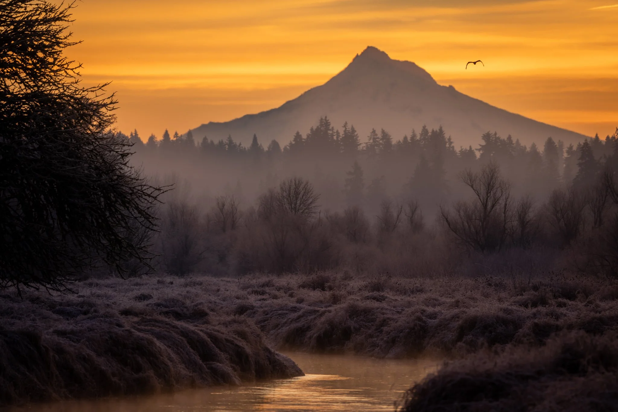 The Edge of Light | Salmon Creek, Washington | 2022