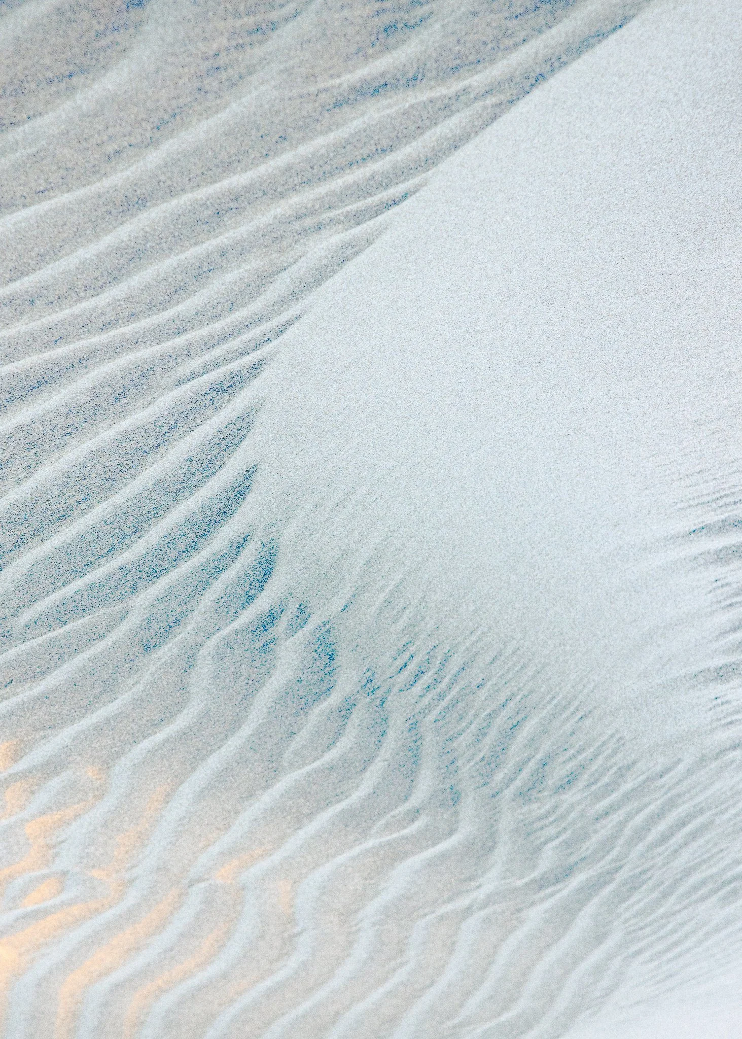 Sea Etchings | Oregon Coast | 2022