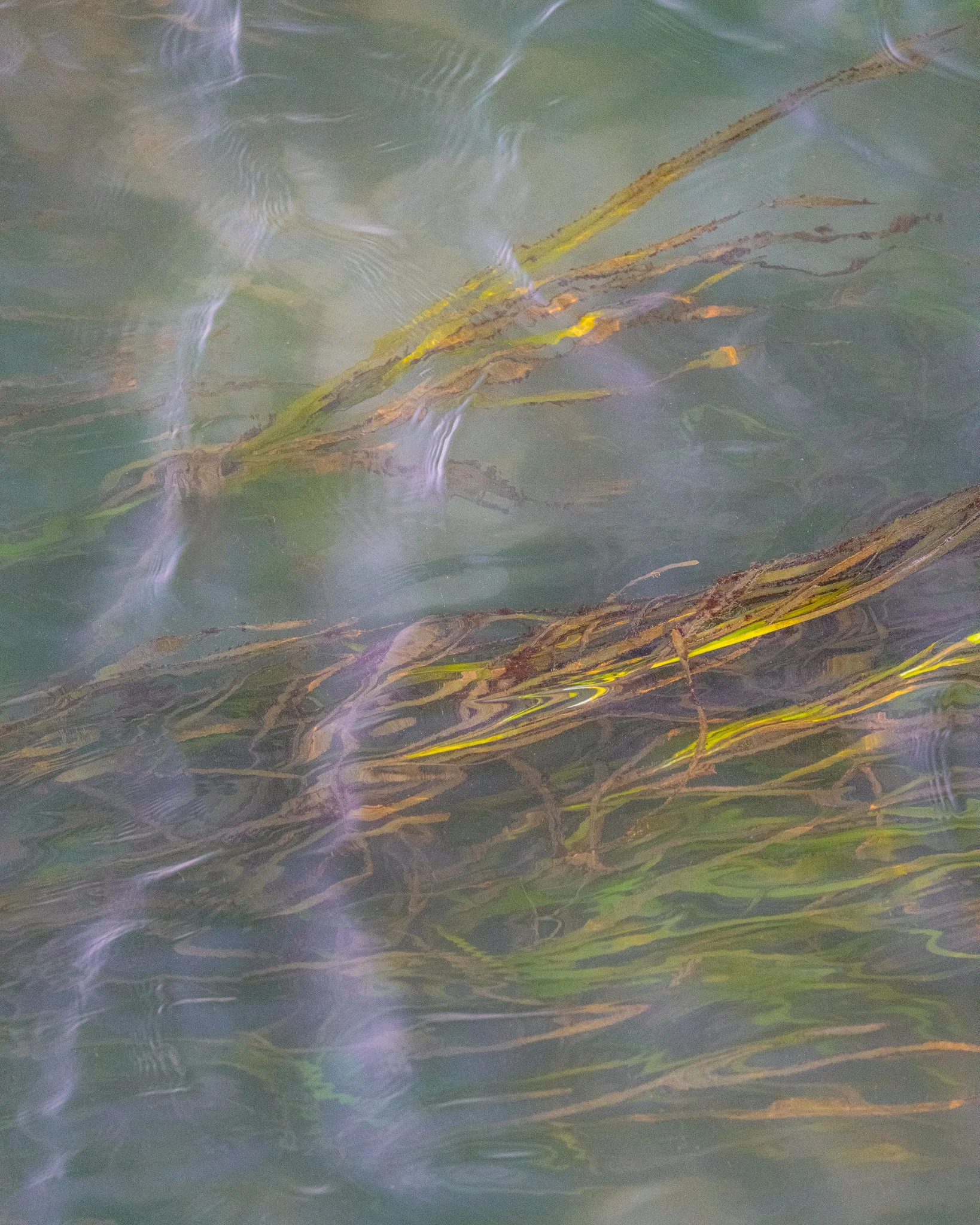 Line and Light | Garibaldi, Oregon | 2024