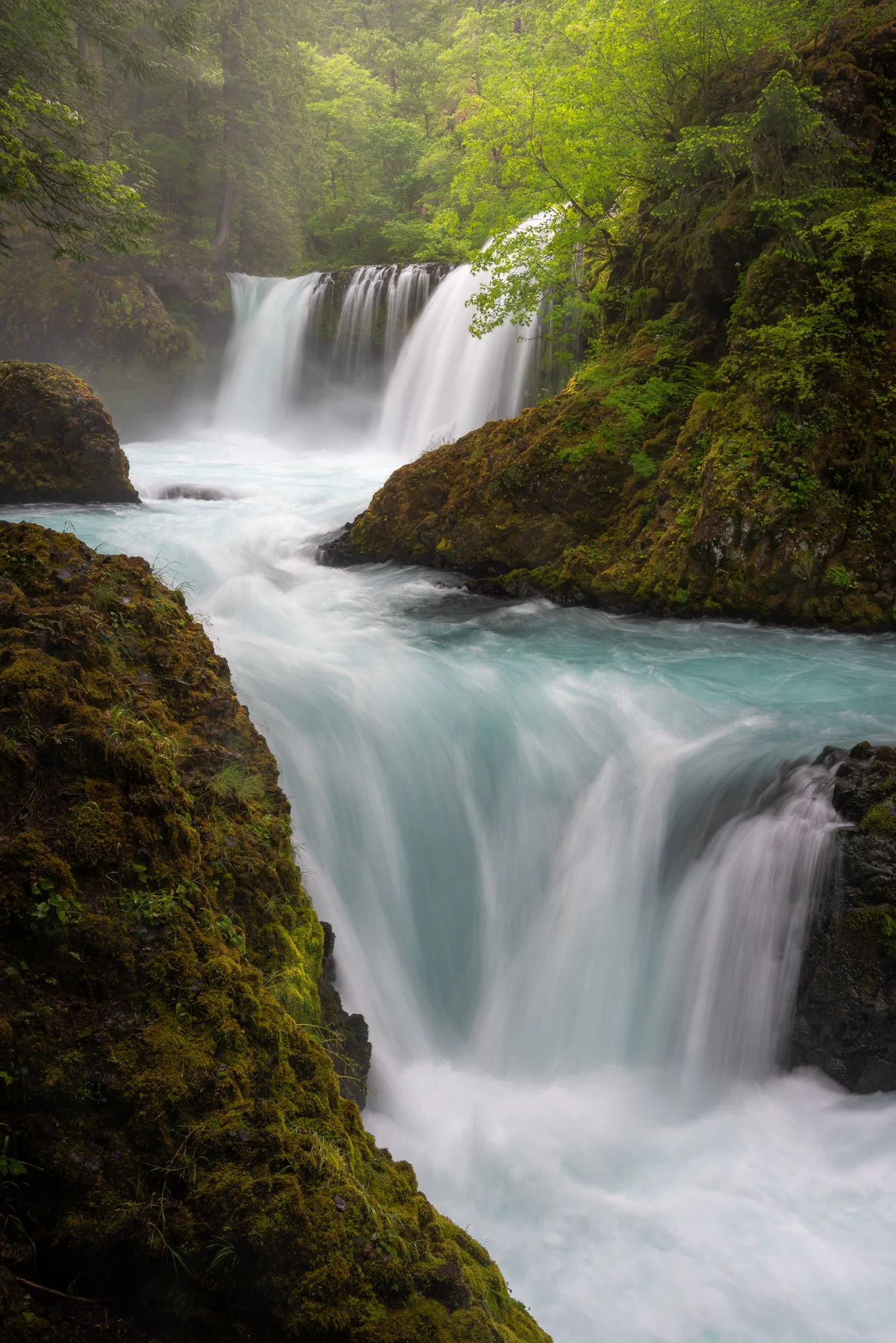 Green Glow  | Skamania County, Washington | 2022