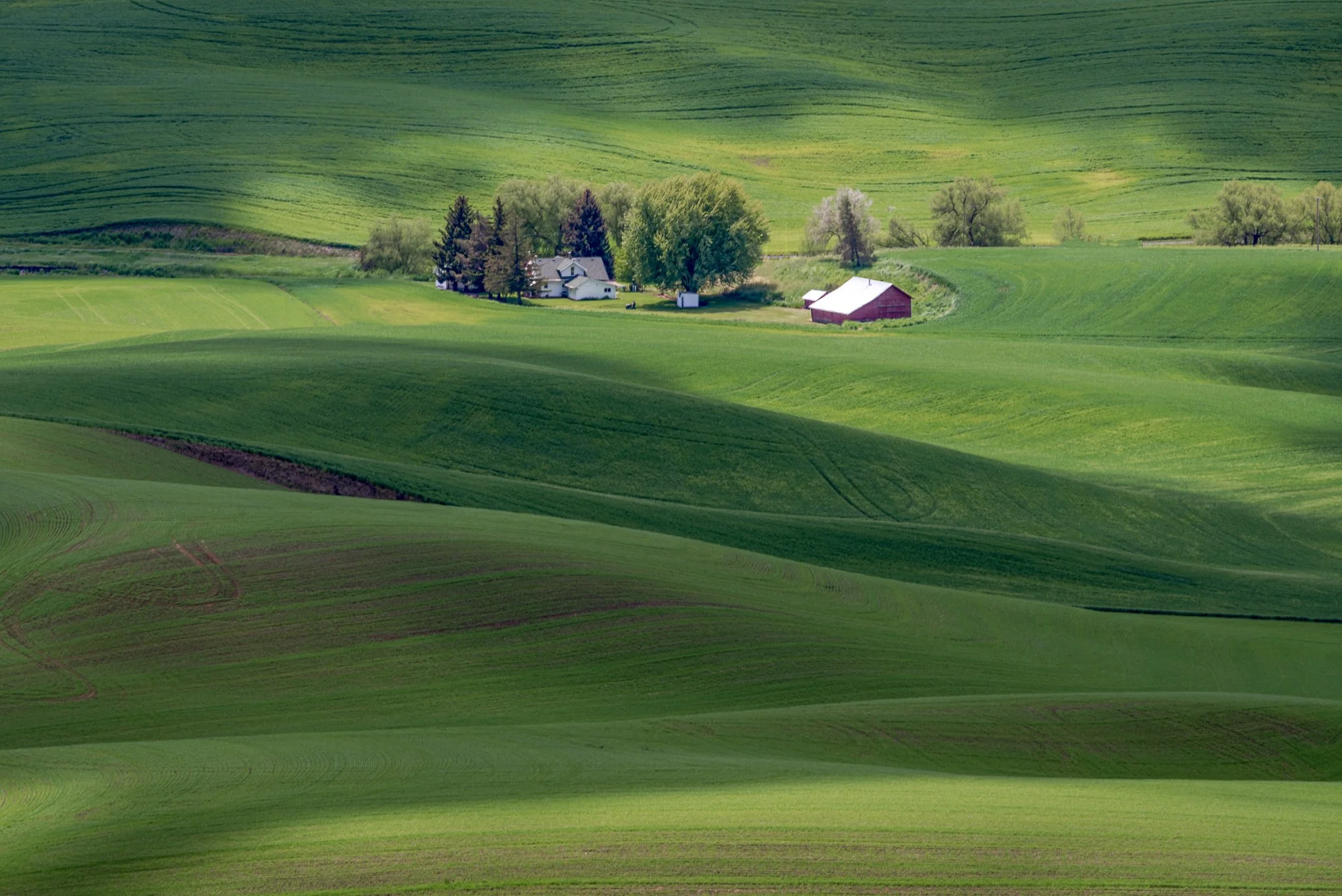 Sculpted by Light | The Palouse, Washington | 2022