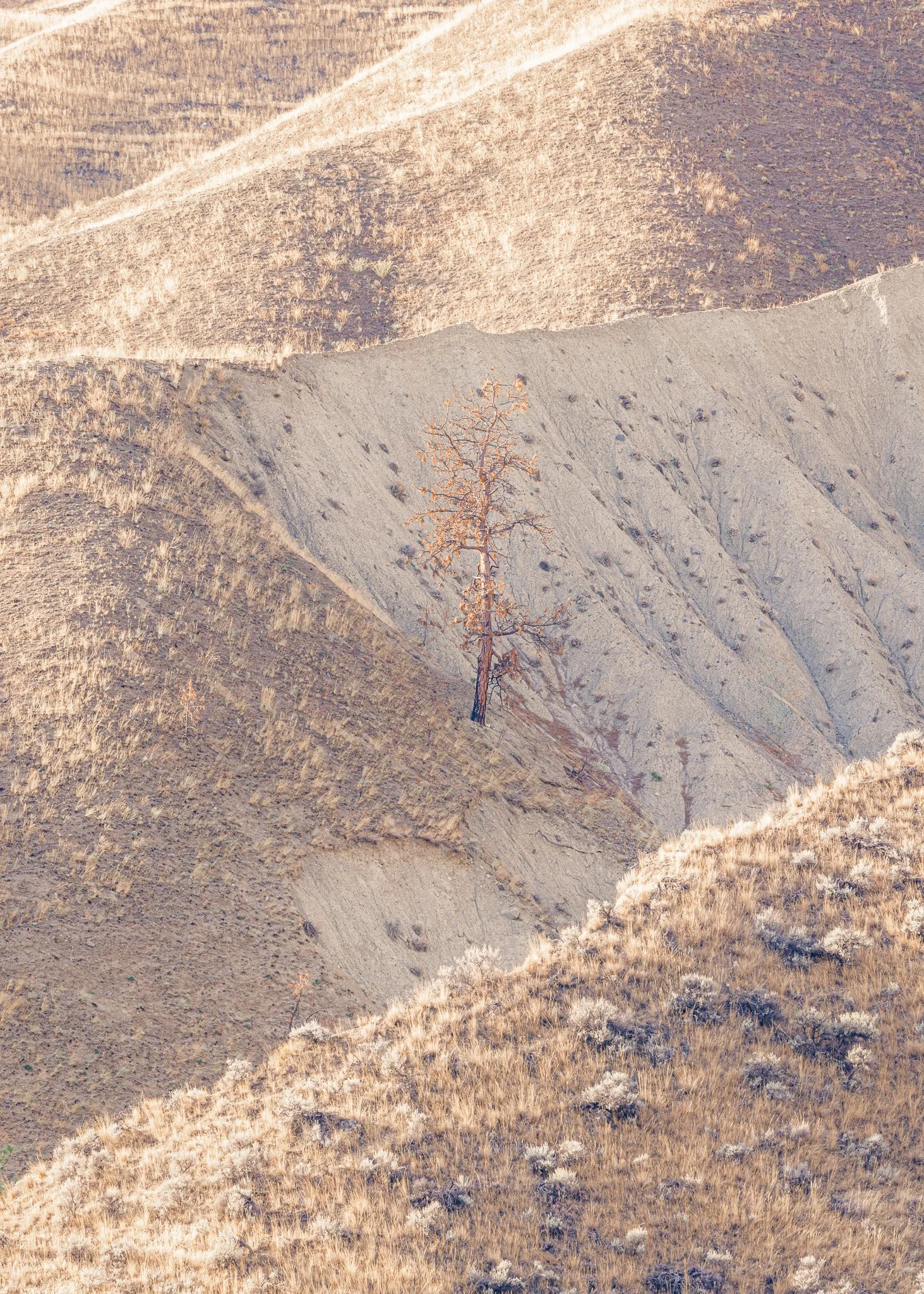 Watchful Quiet | North Central Washington | 2024