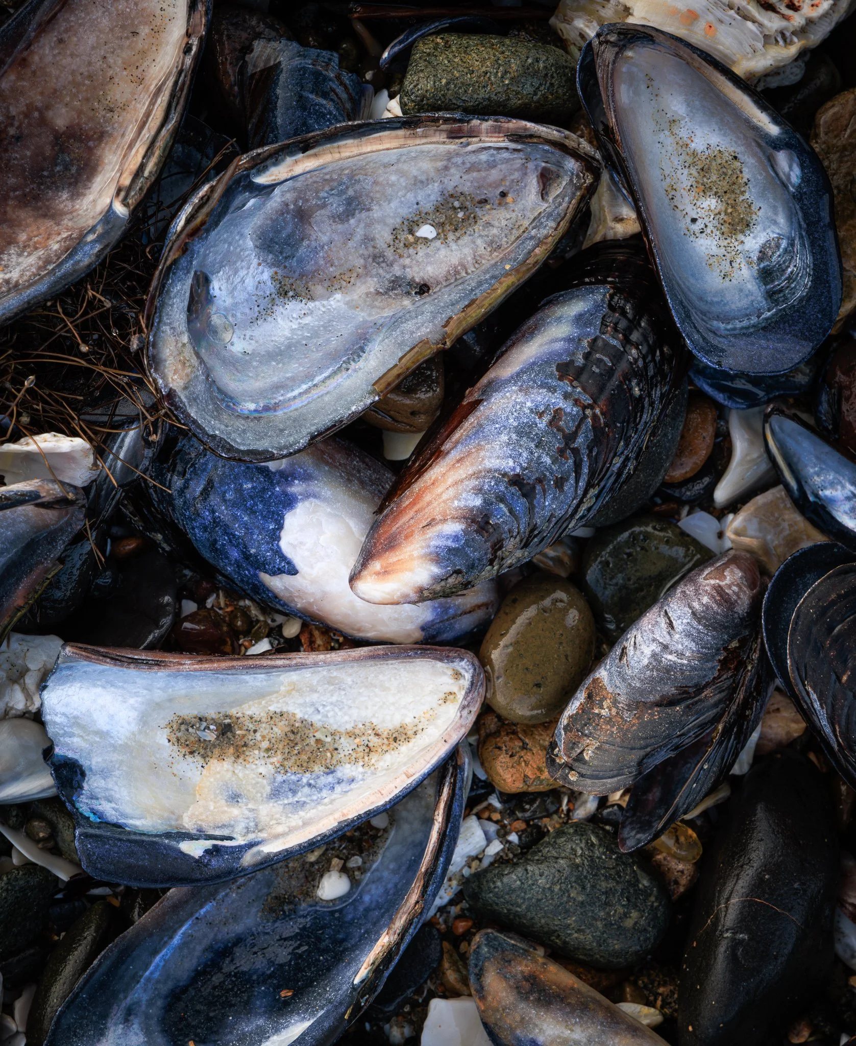 Patterns Woven by Nature