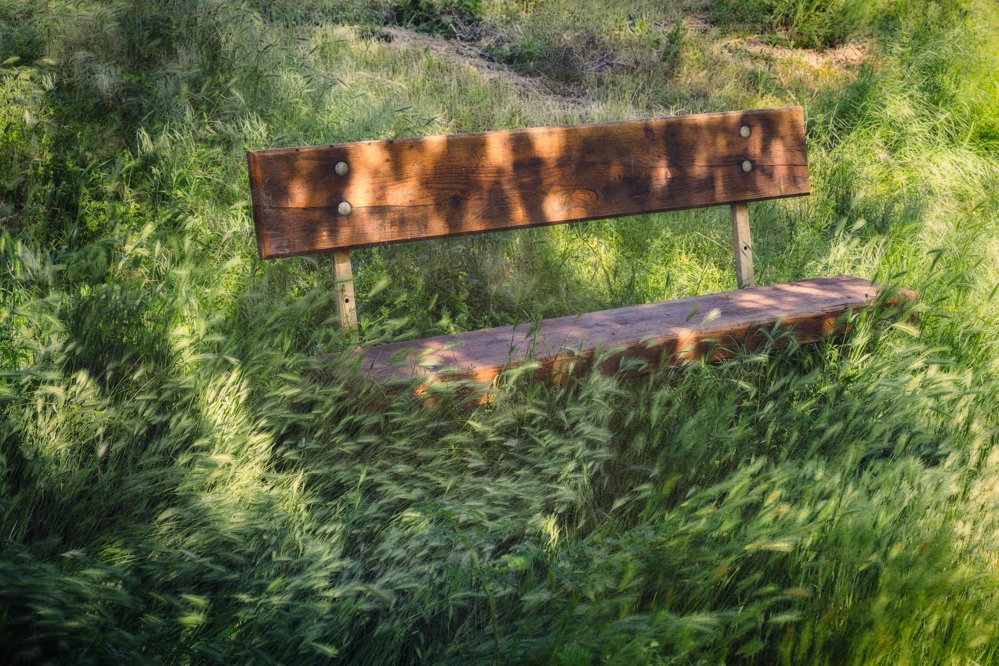 Forgotten Corner | Central Oregon | 2025