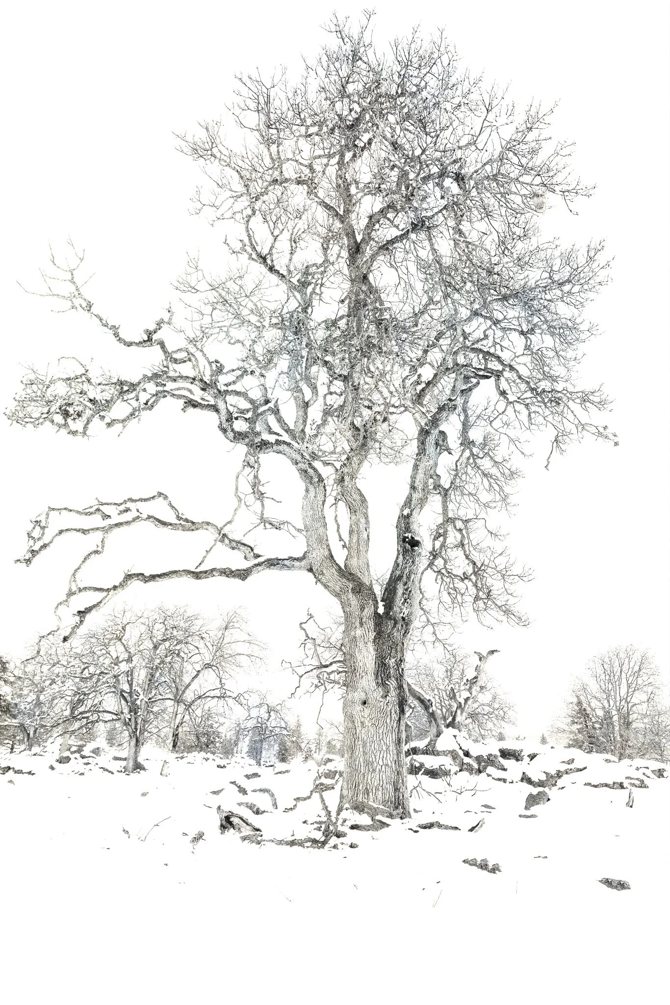 The Long Watch | The Dalles, Oregon | 2024