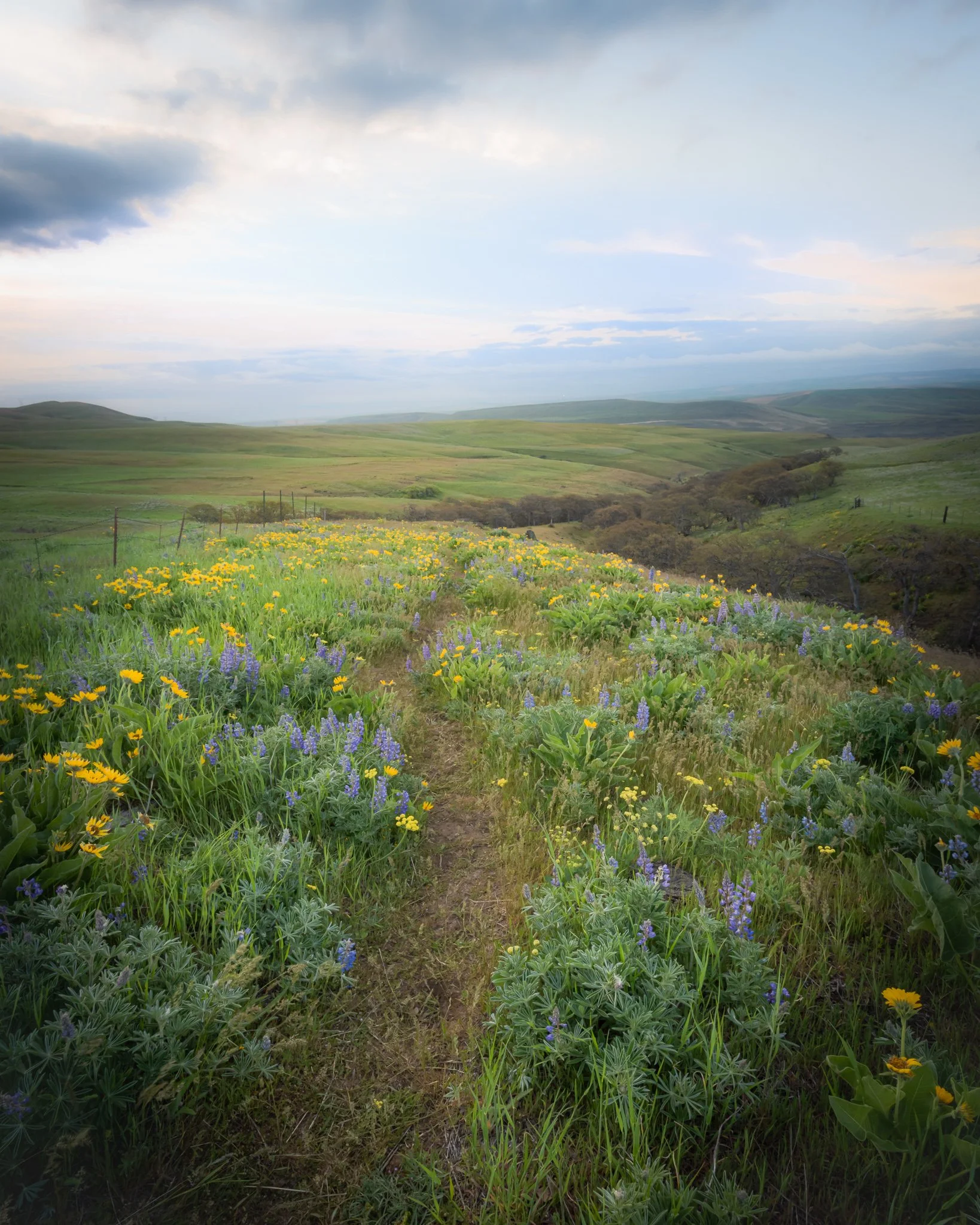 Infinite Possibilities | Washington | 2022 