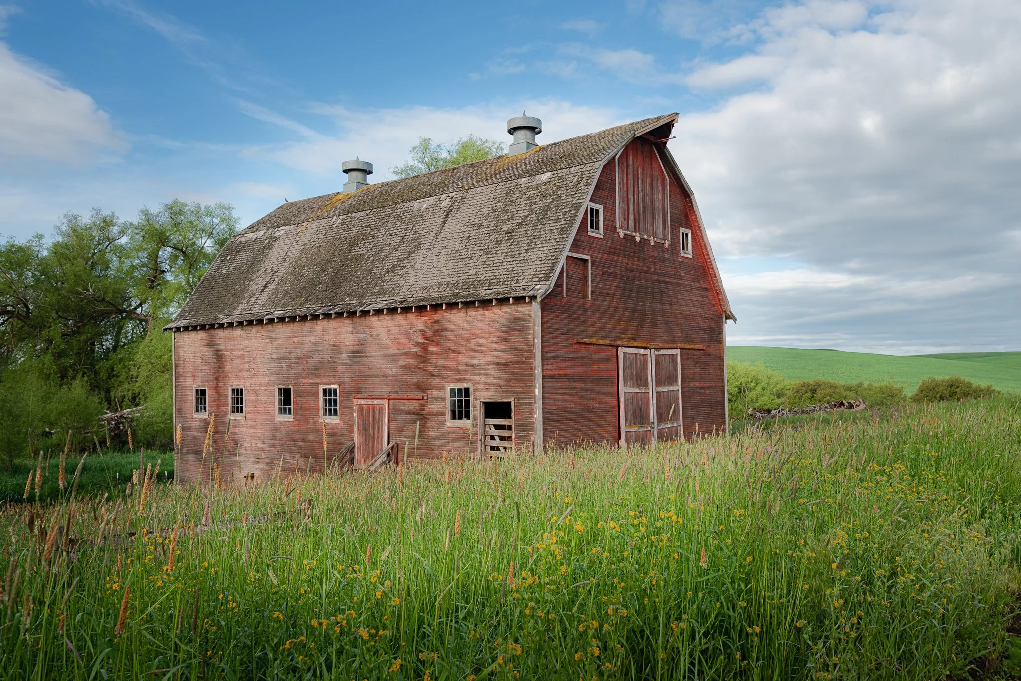 Beyond the Turn | The Palouse, Washington | 2022