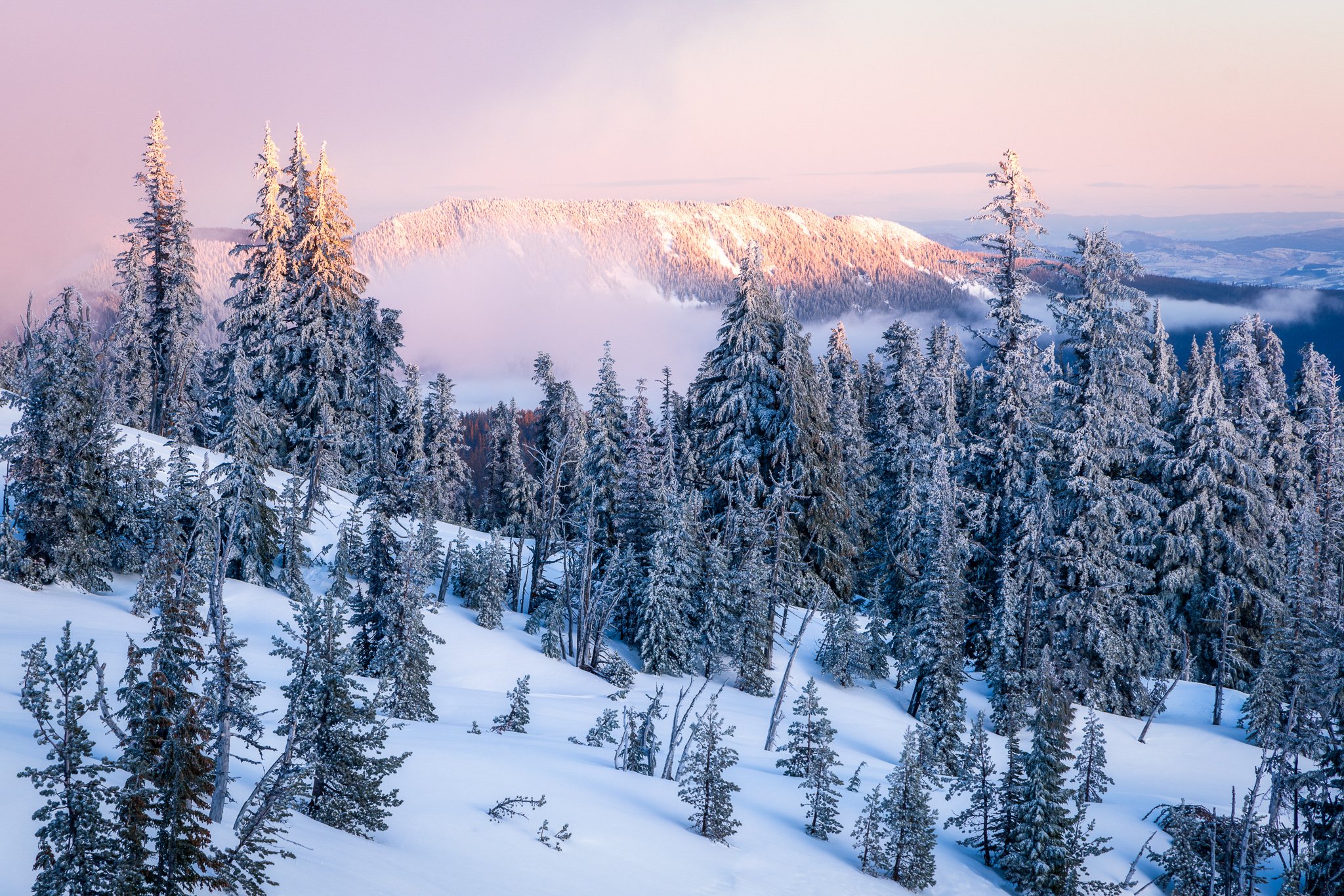 Stillness and Quiet Spaces