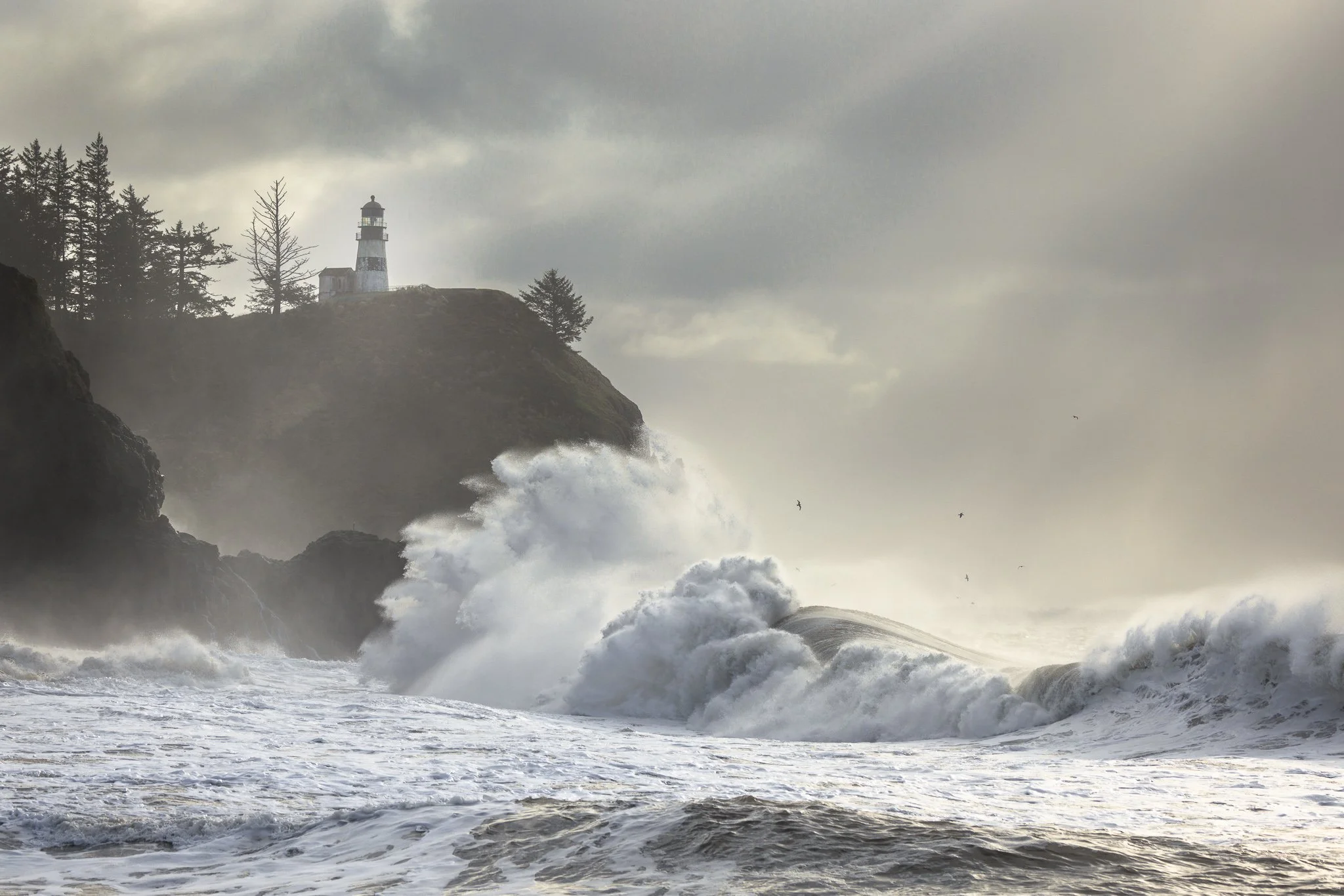 Light and Power Revealed | Cape Disappointment, Washington | 2024