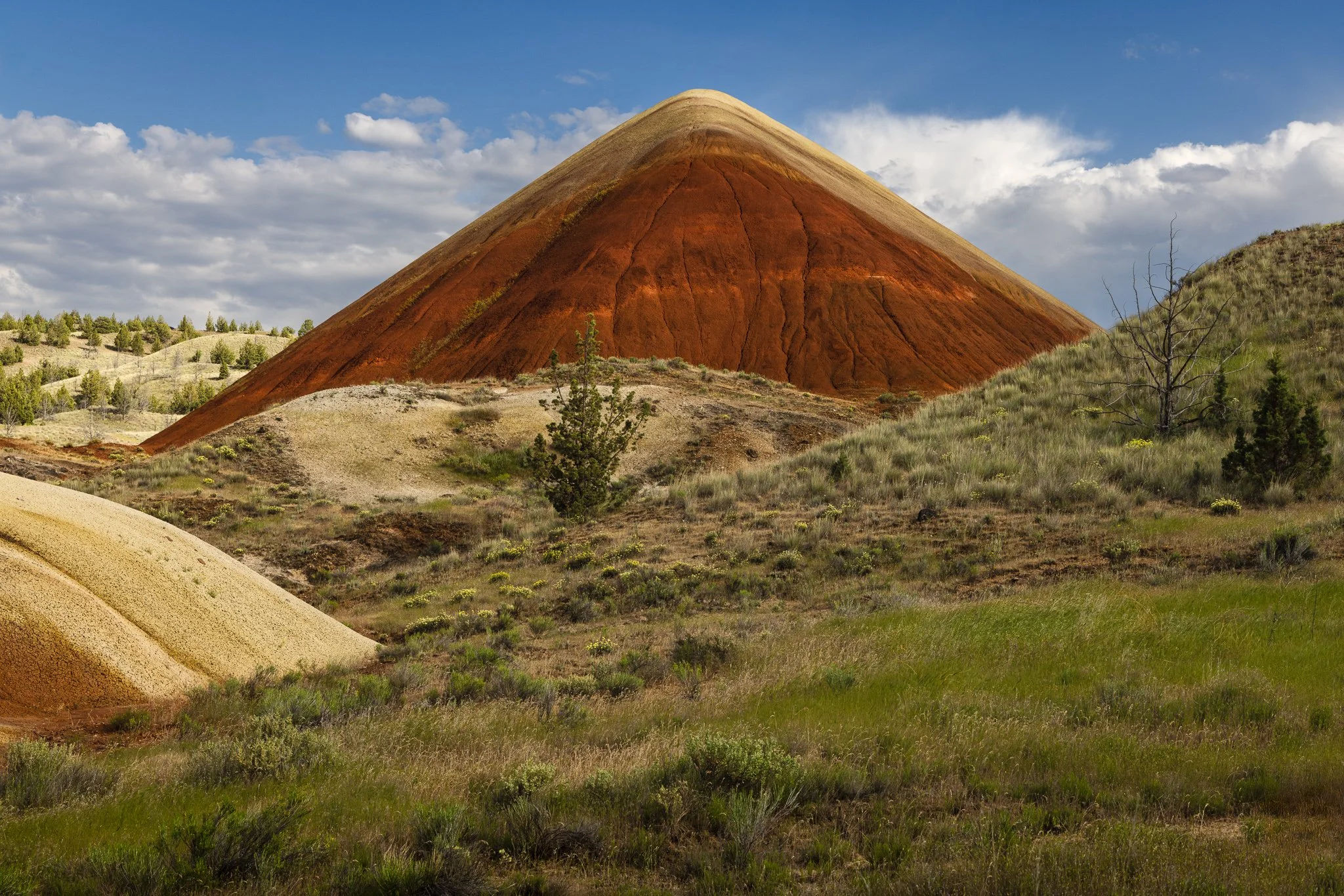 Earthfold | Painted Hills, Oregon | 2025