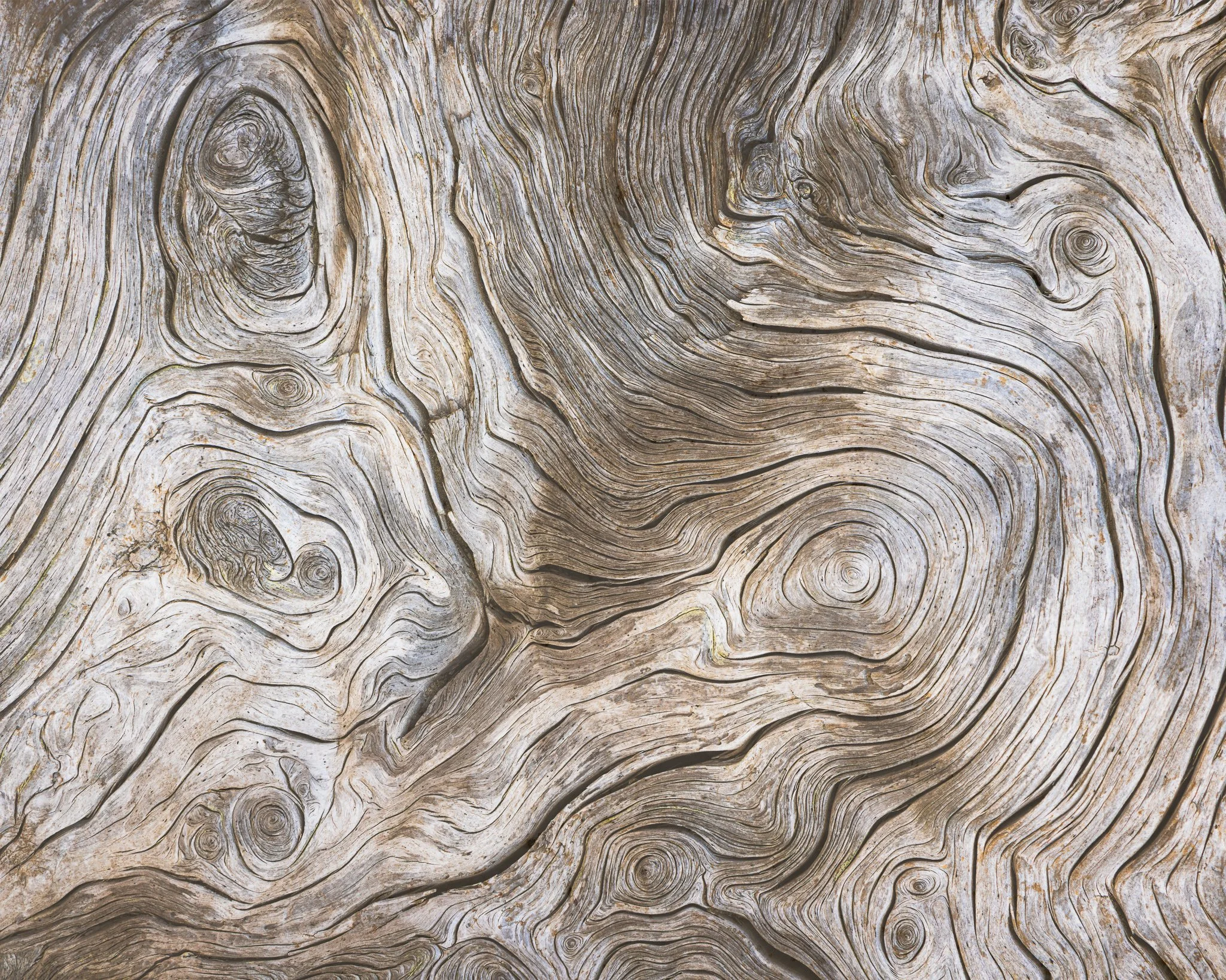 Texture of Time | Oregon Coast | 2024