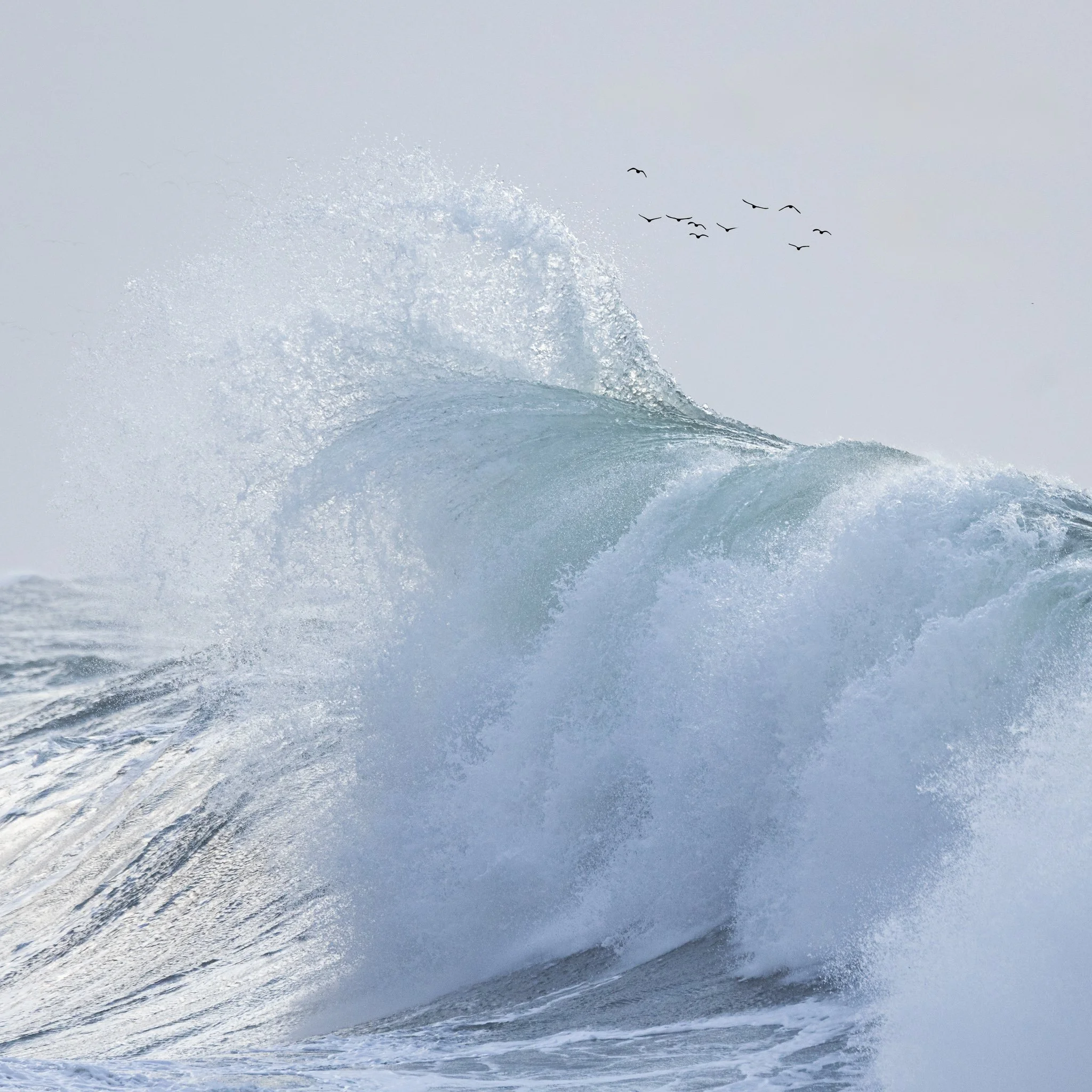 Rise and Shine | Cape Disappointment, Washington | 2024
