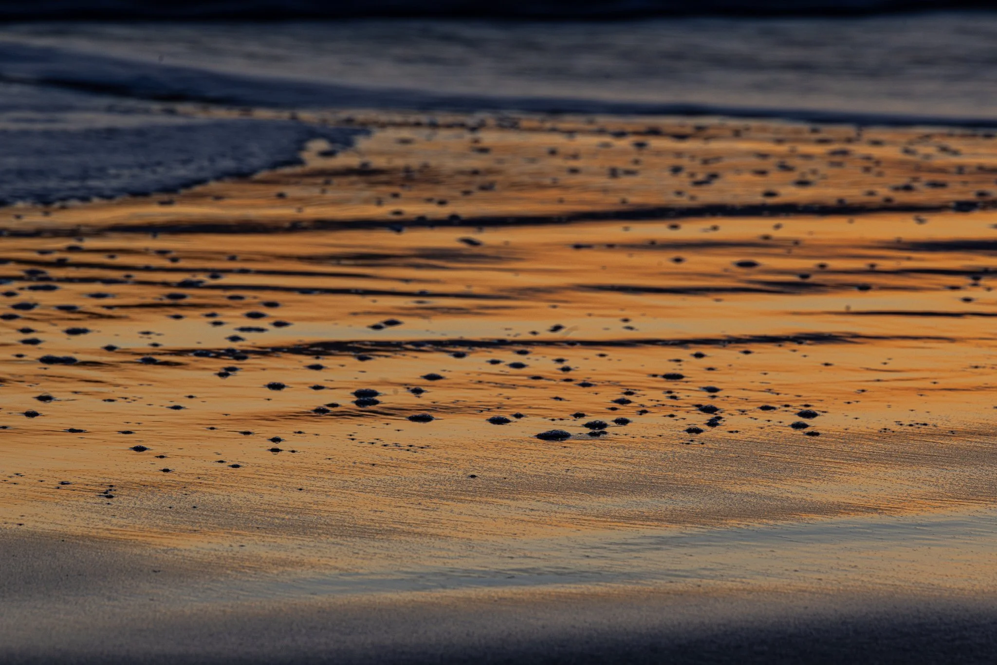 Low Tide, Last Light | Bandon, Oregon | 2024