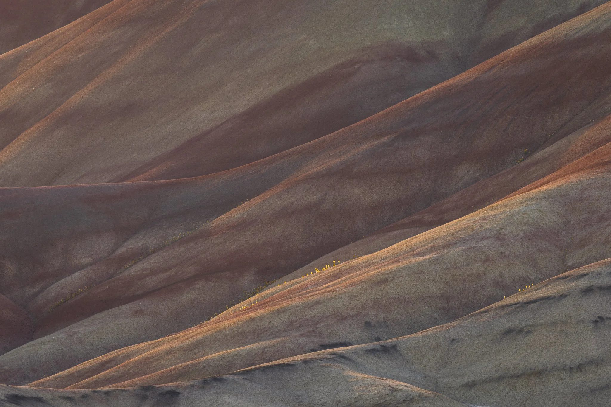 Illuminated Silence  | Painted Hills, Oregon | 2025