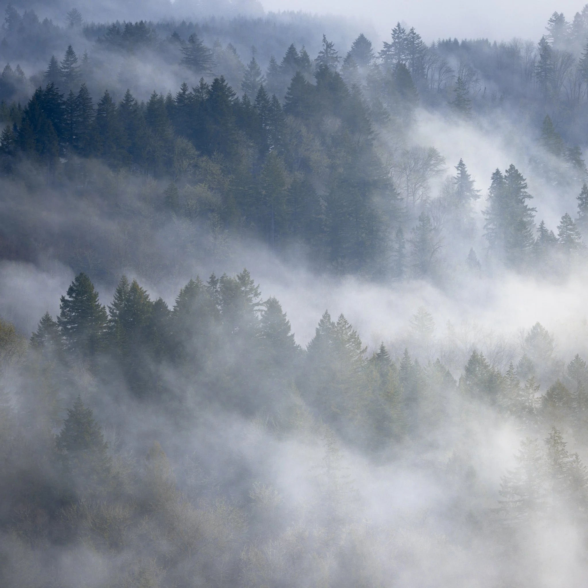 Unseen Hours | Sandy, Oregon | 2023