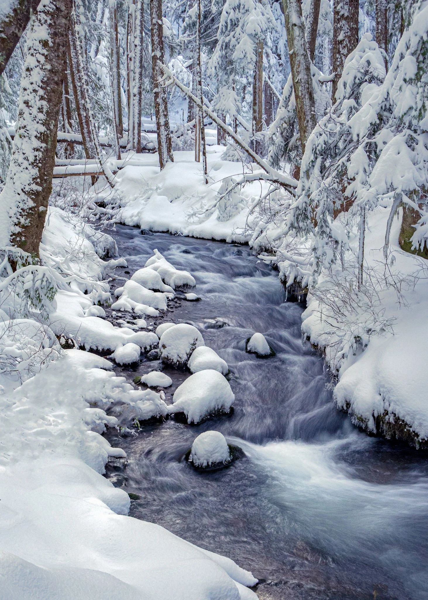 Where Silence Settles | Mt Hood, Oregon | 2023