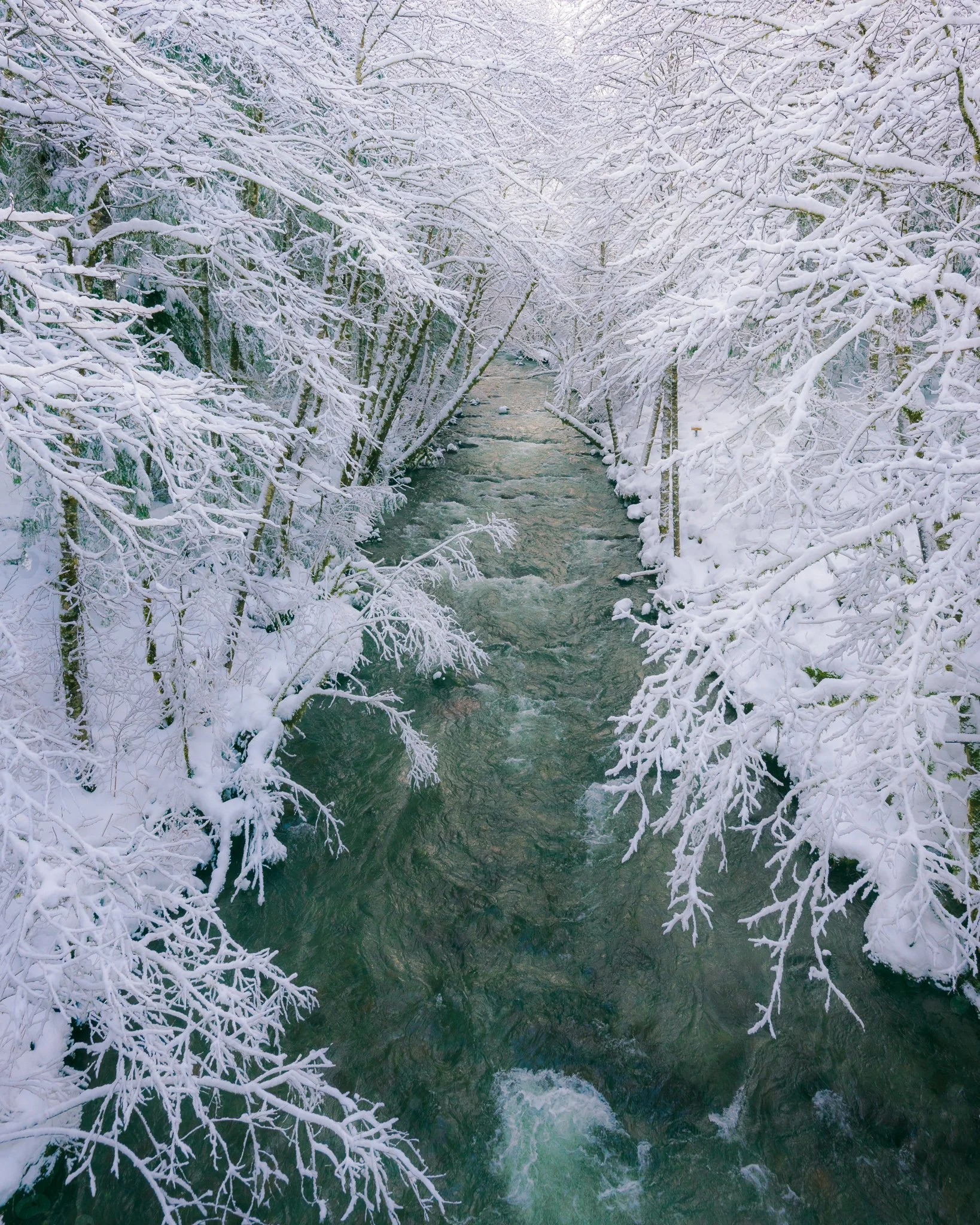 Almost Still | Mt Hood, Oregon | 2021