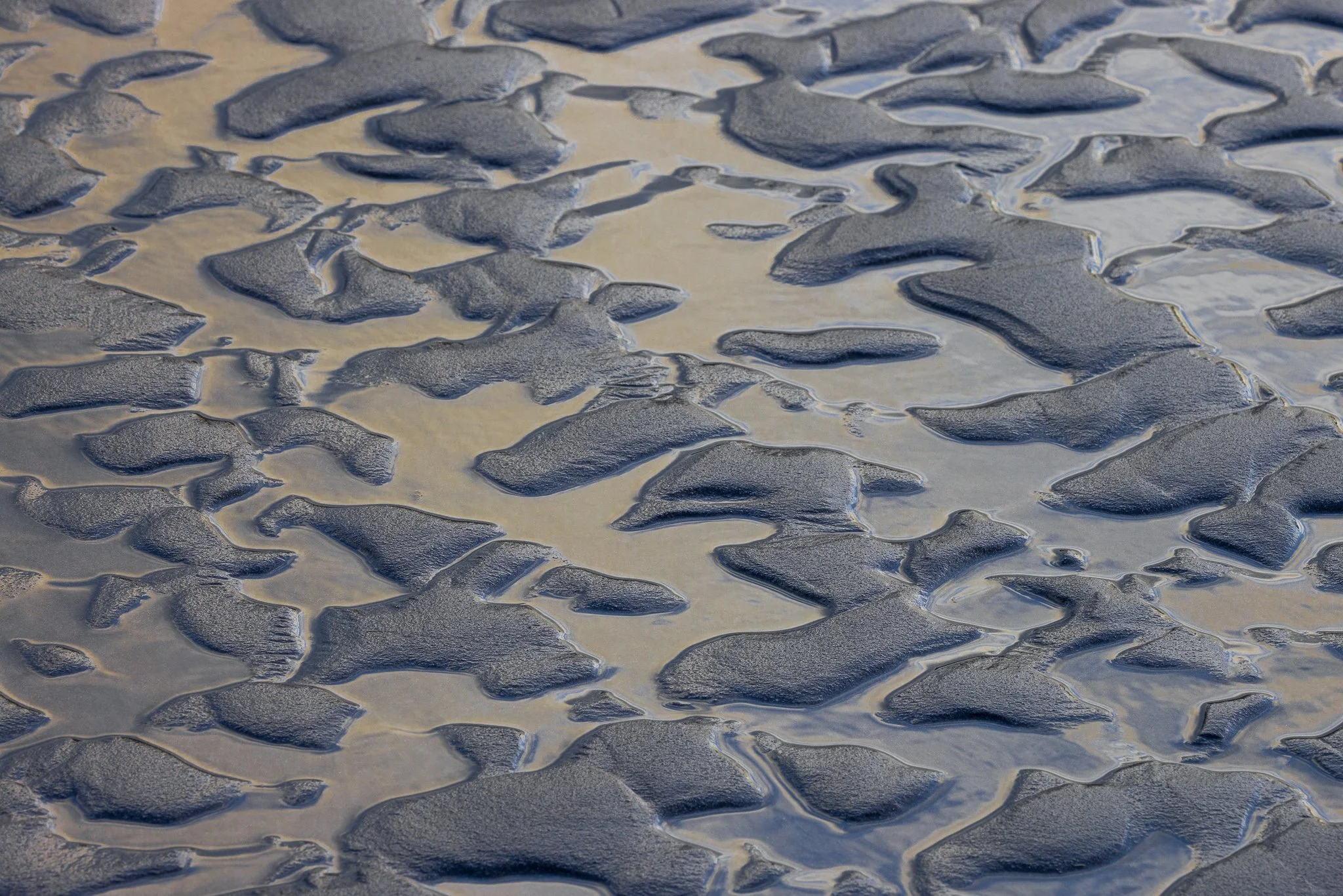 Tidal Script | Oregon Coast | 2024