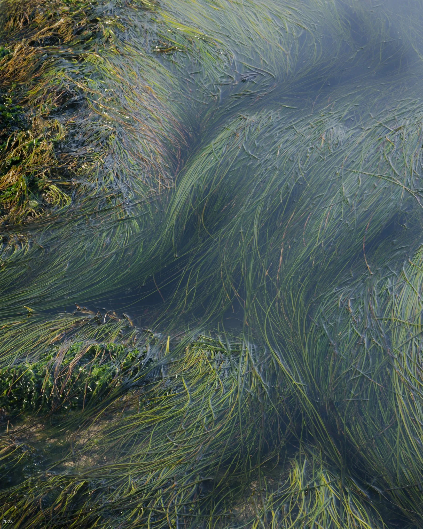 Contours and Currents