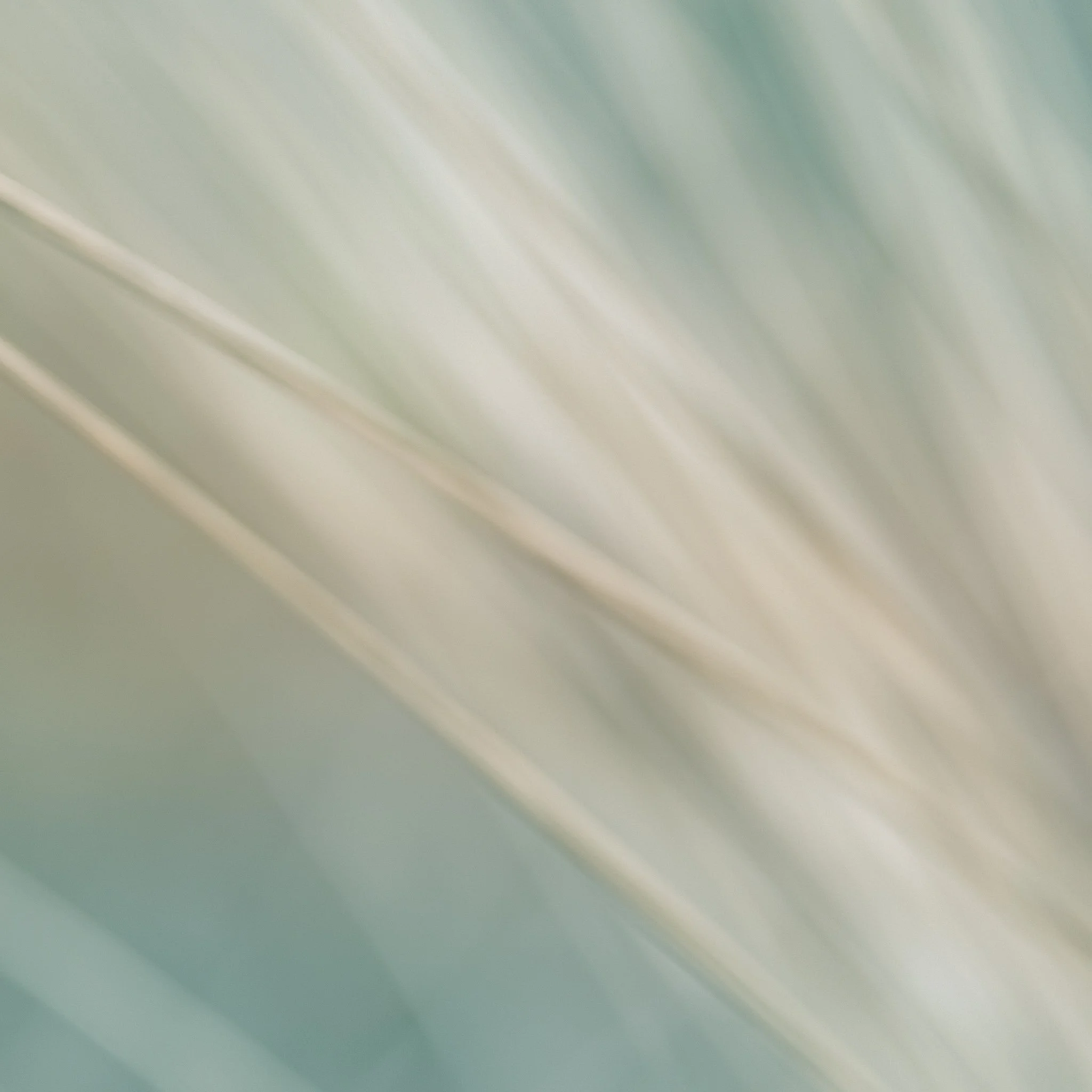 Quiet Presence | Oregon | 2023