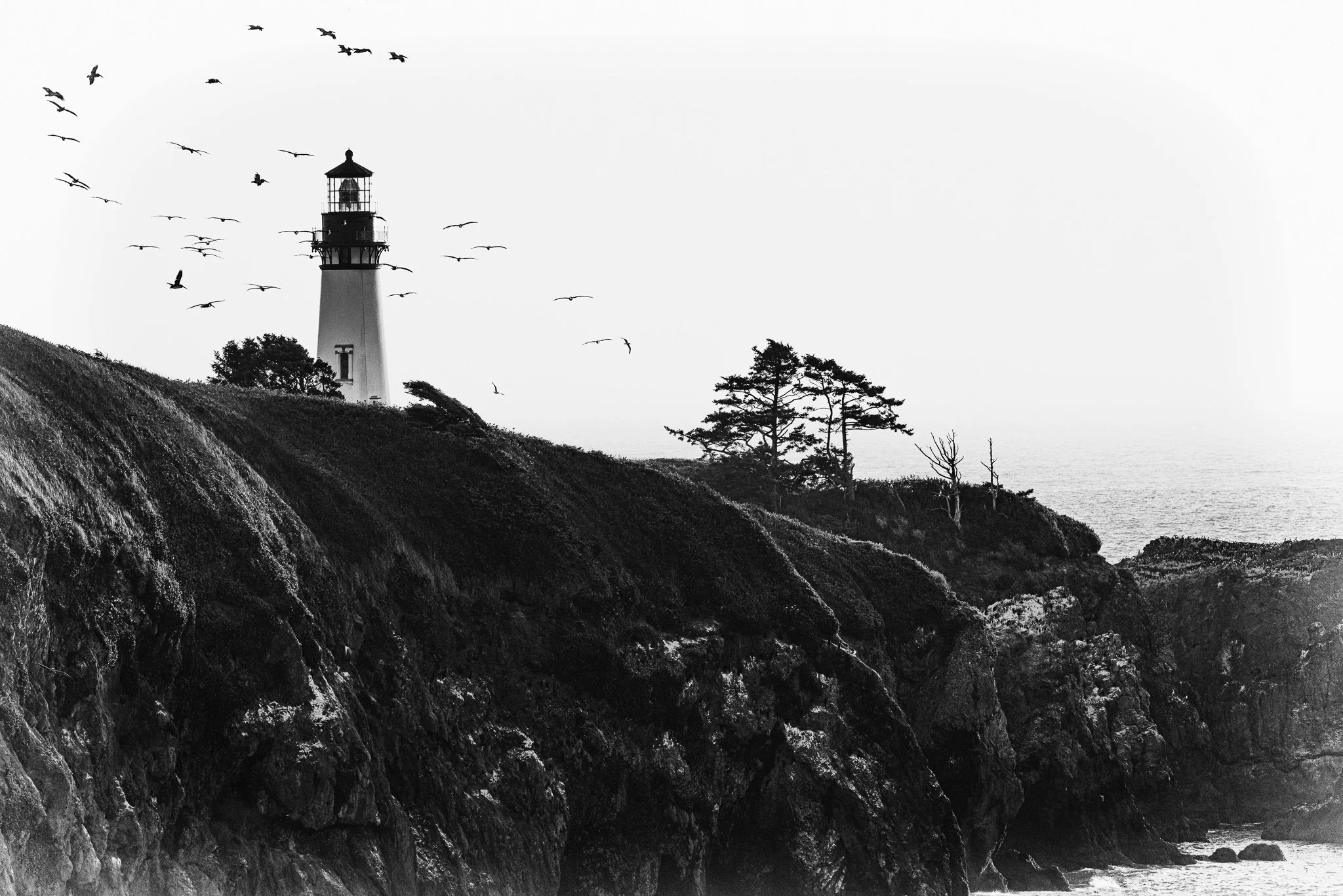 Witness to the Wind | Newport, Oregon | 2024