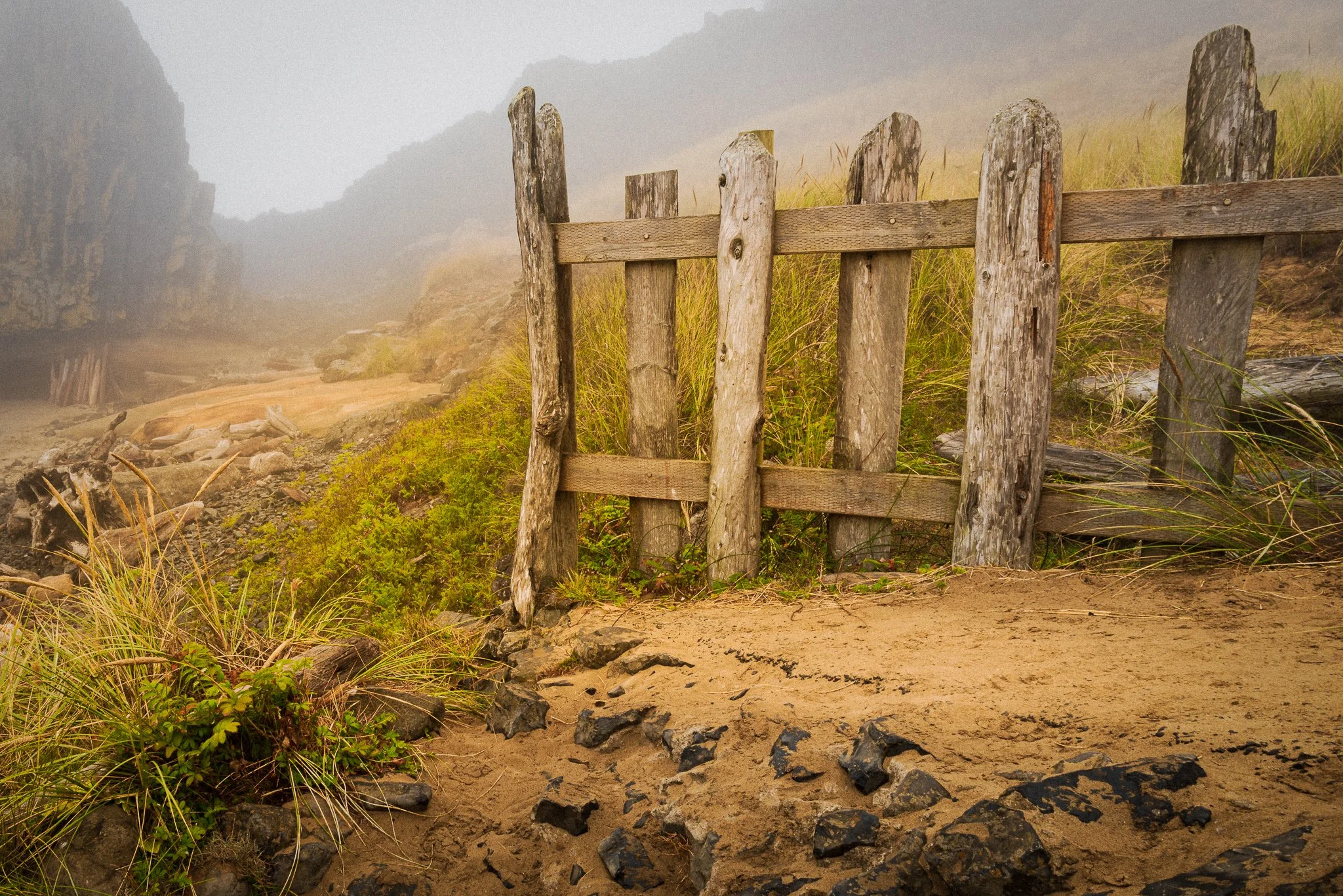 Near Silence | Seal Rock, Oregon | 2021