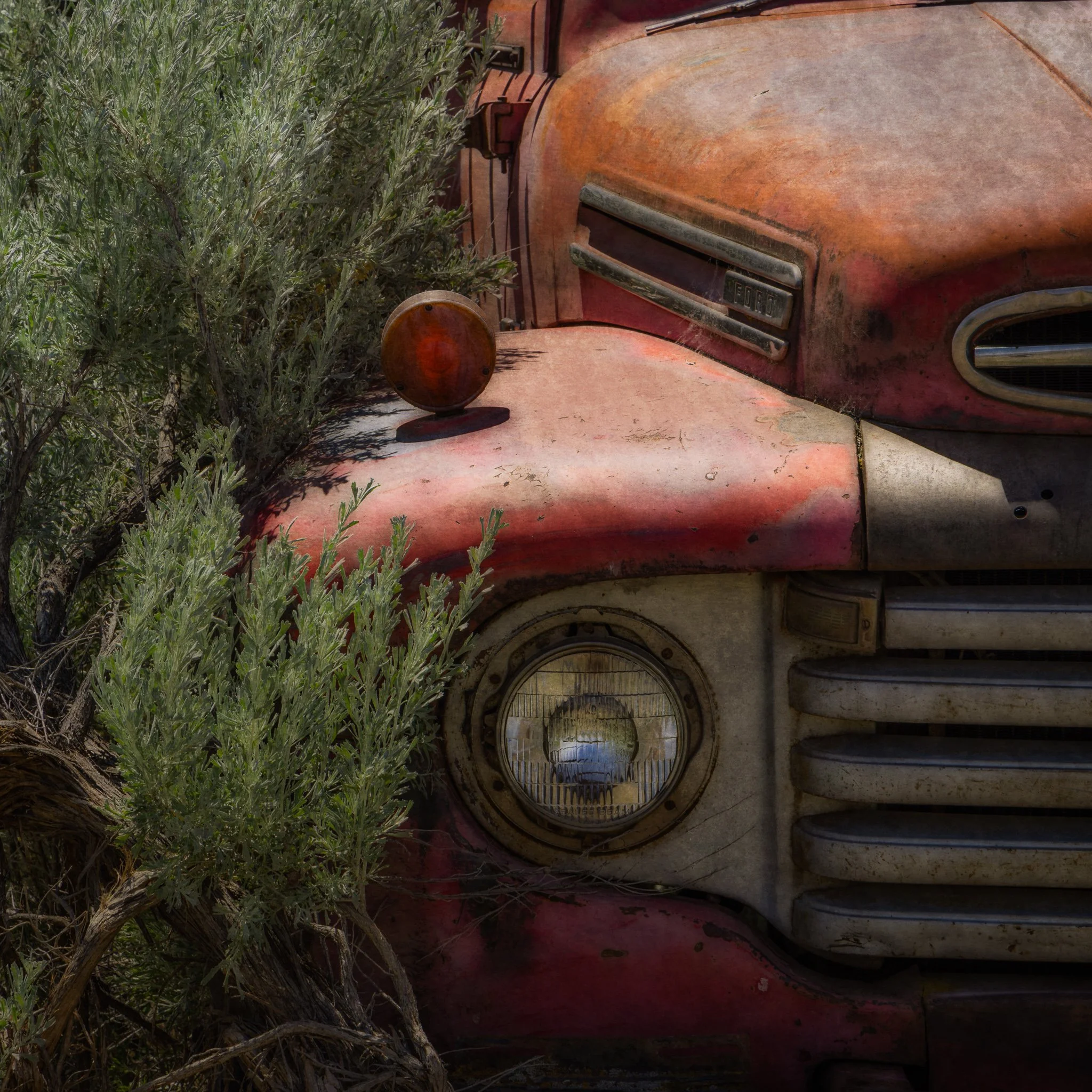 Scrapped | North Central Washington | 2024