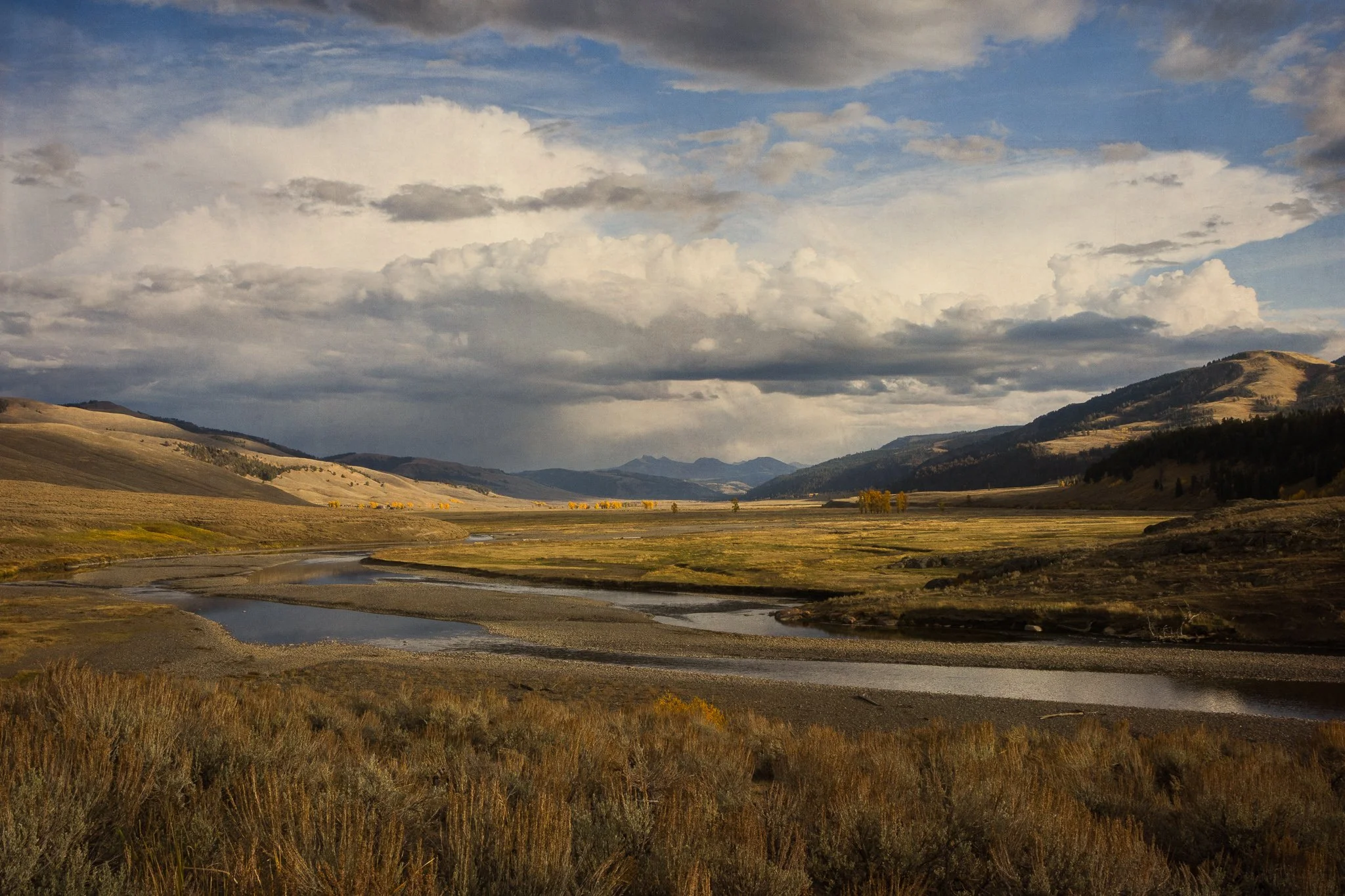 Boundless | Yellowstone National Park, Wyoming | 2025