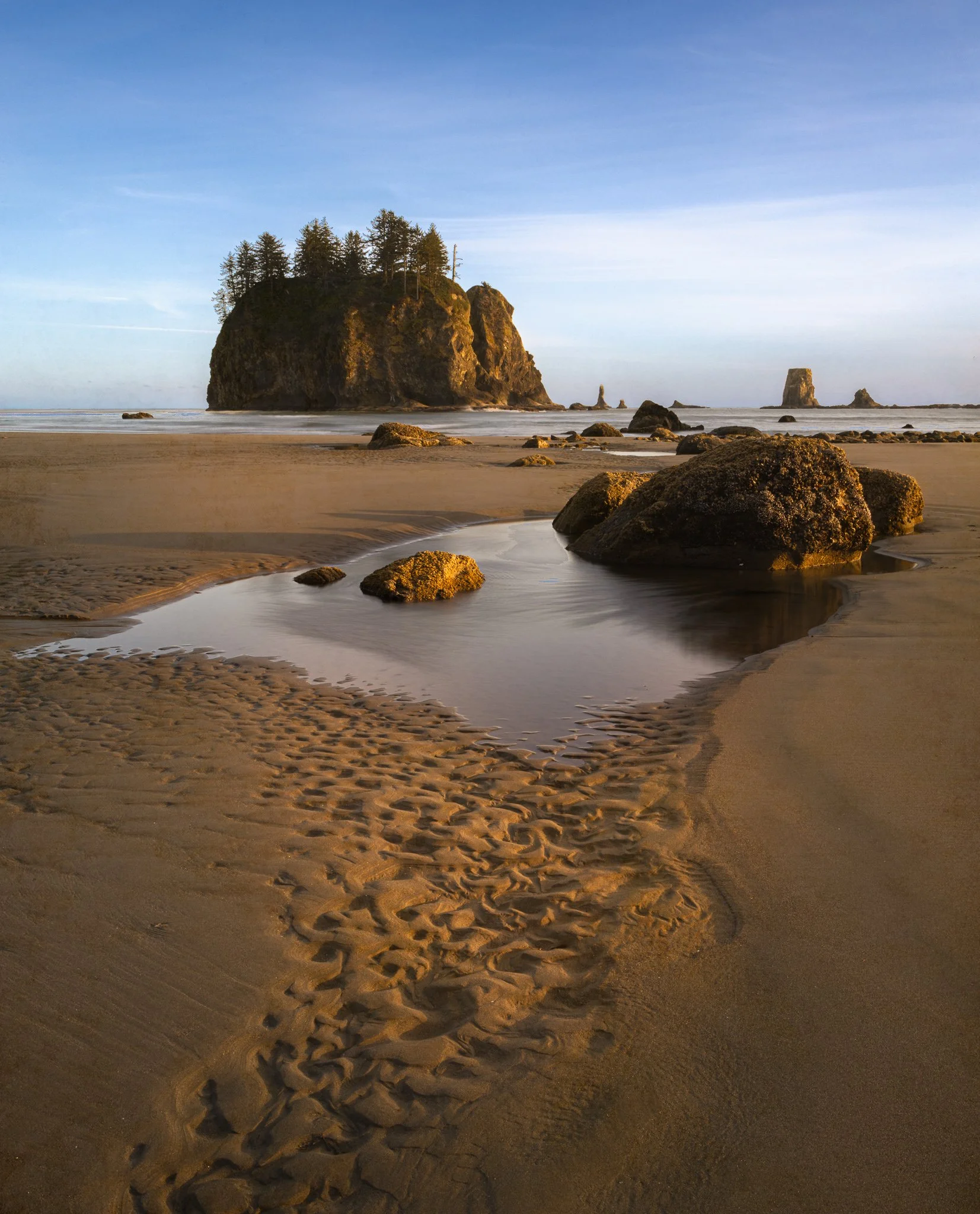 Tidal Etchings | Washington Coast | 2023

