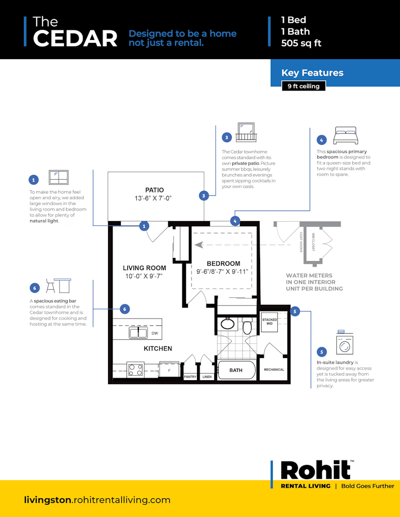 Cedar