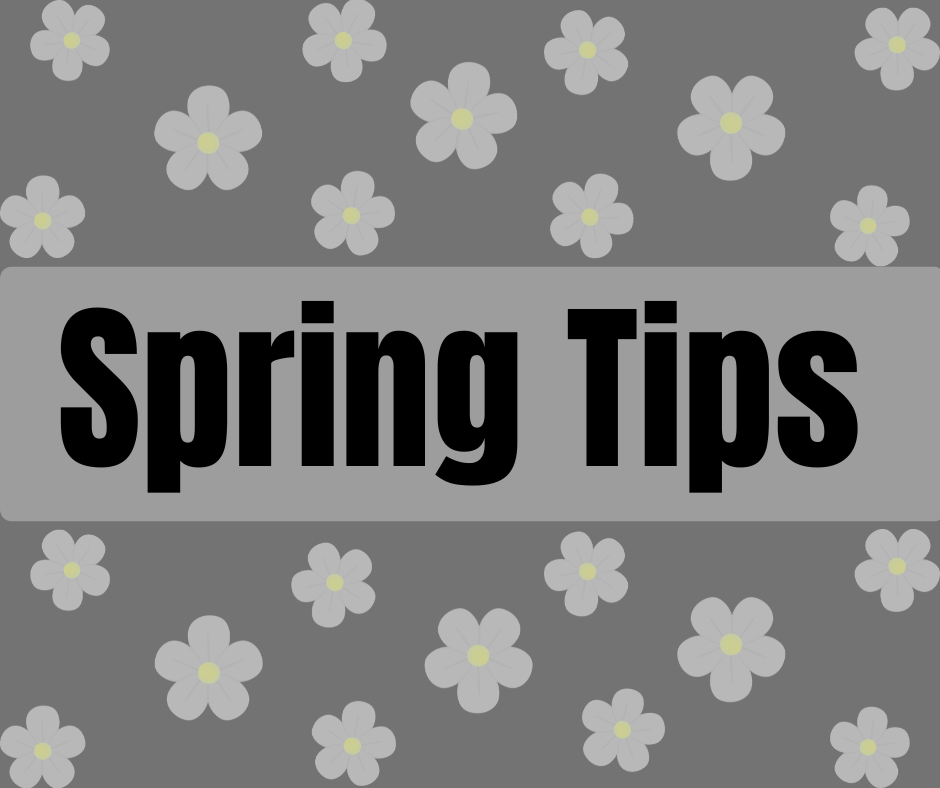 Spring Tips 