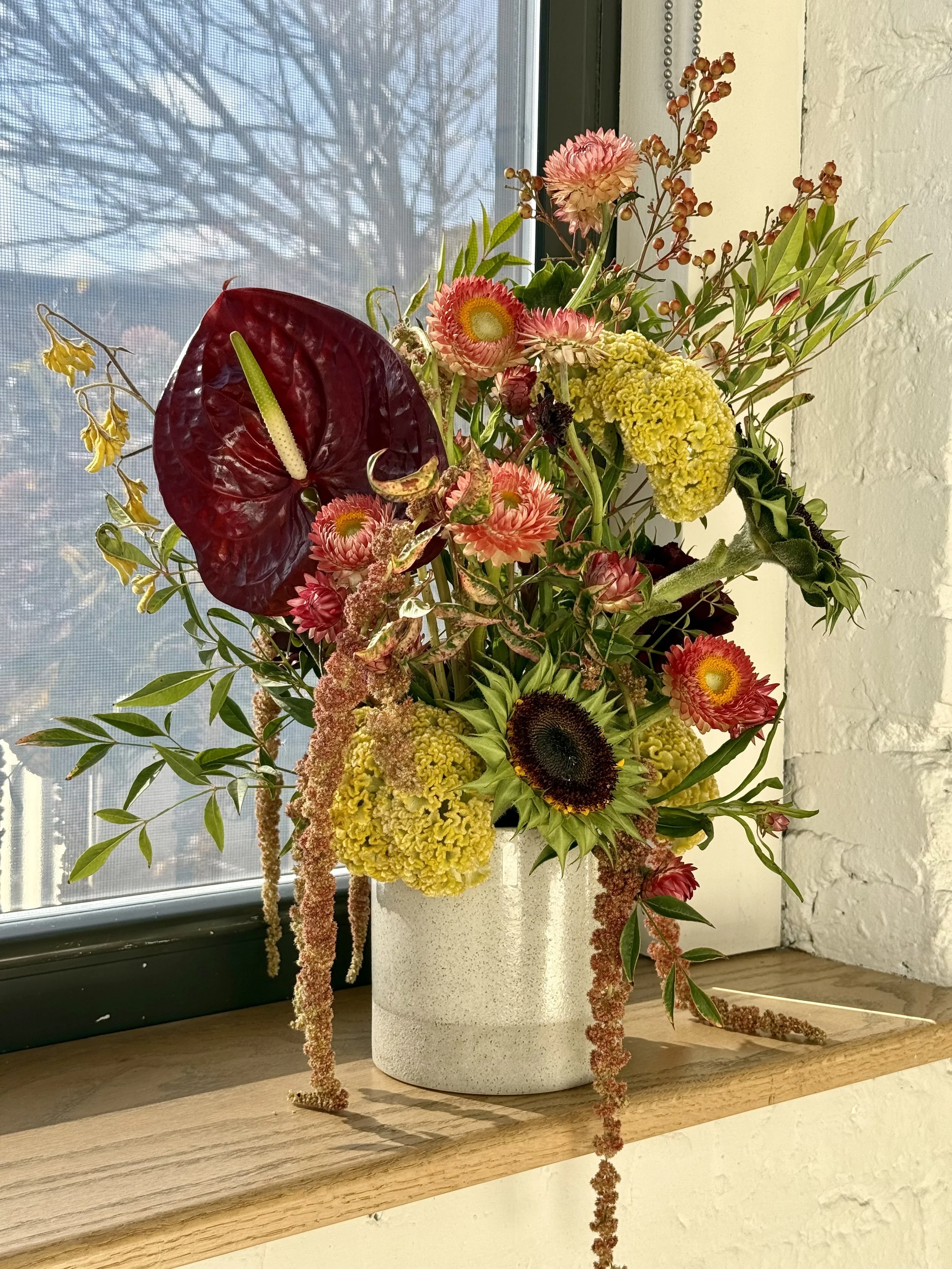 the creative monster