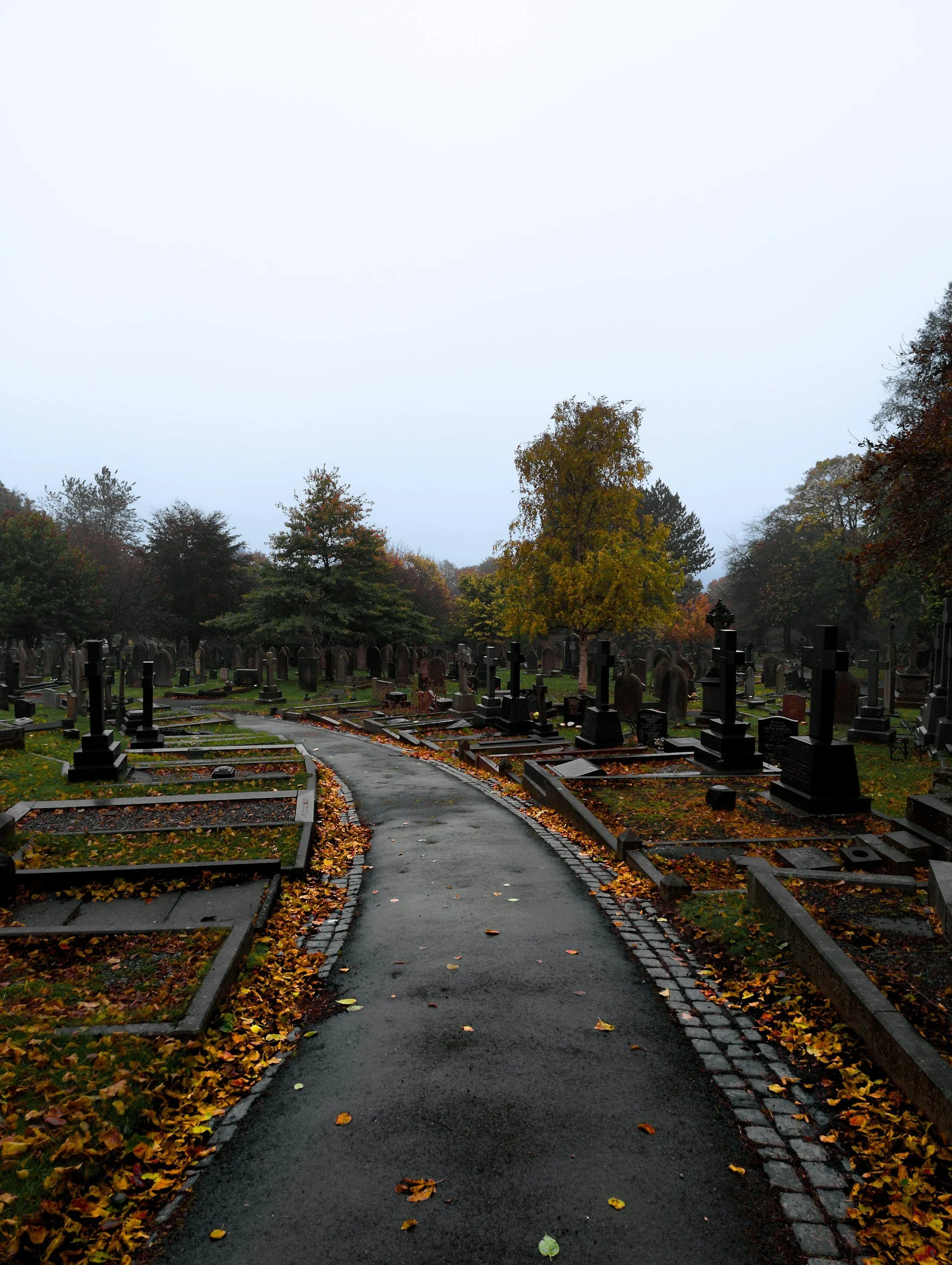A cemetery with rows of grave markers and headstones, a winding paved pathway, and trees with fall foliage under an overcast sky.